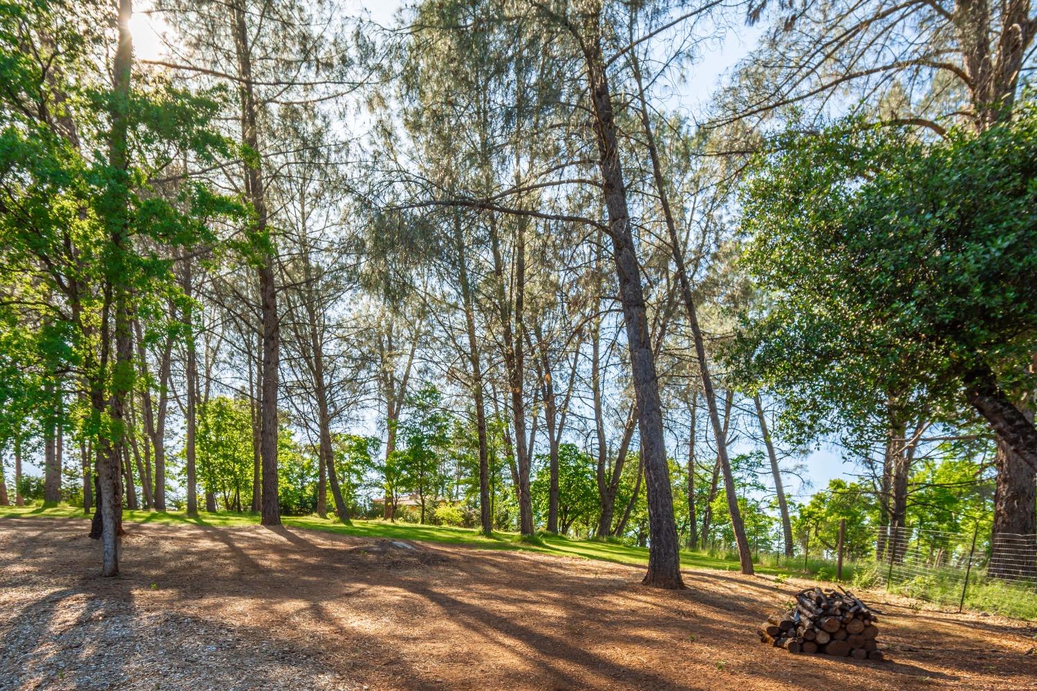 Detail Gallery Image 52 of 56 For 6570 Mosquito Rd, Placerville,  CA 95667 - 3 Beds | 2 Baths