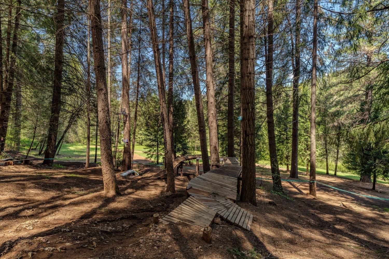 Detail Gallery Image 47 of 57 For 7250 Mitchell Mill Rd, Wilseyville,  CA 95257 - 3 Beds | 1 Baths