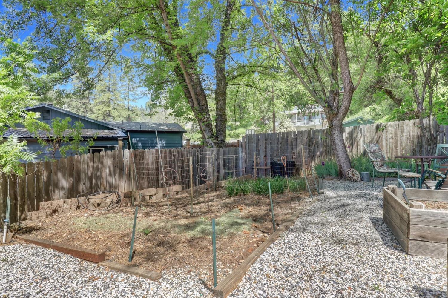 June Drive, Grass Valley, California image 35