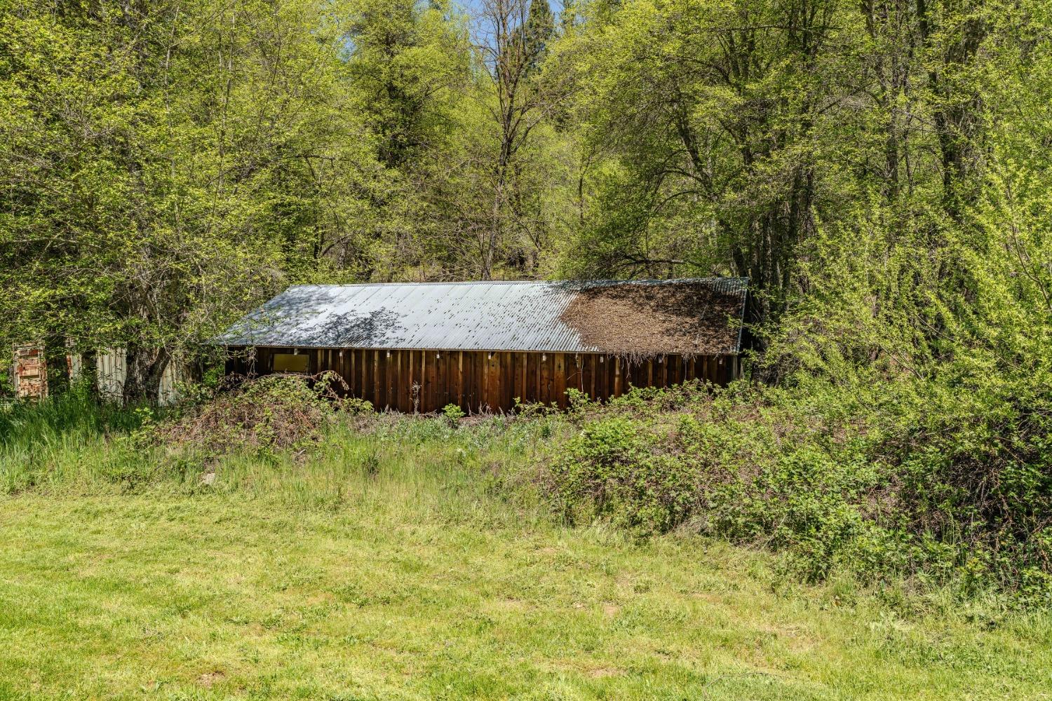Detail Gallery Image 18 of 57 For 7250 Mitchell Mill Rd, Wilseyville,  CA 95257 - 3 Beds | 1 Baths