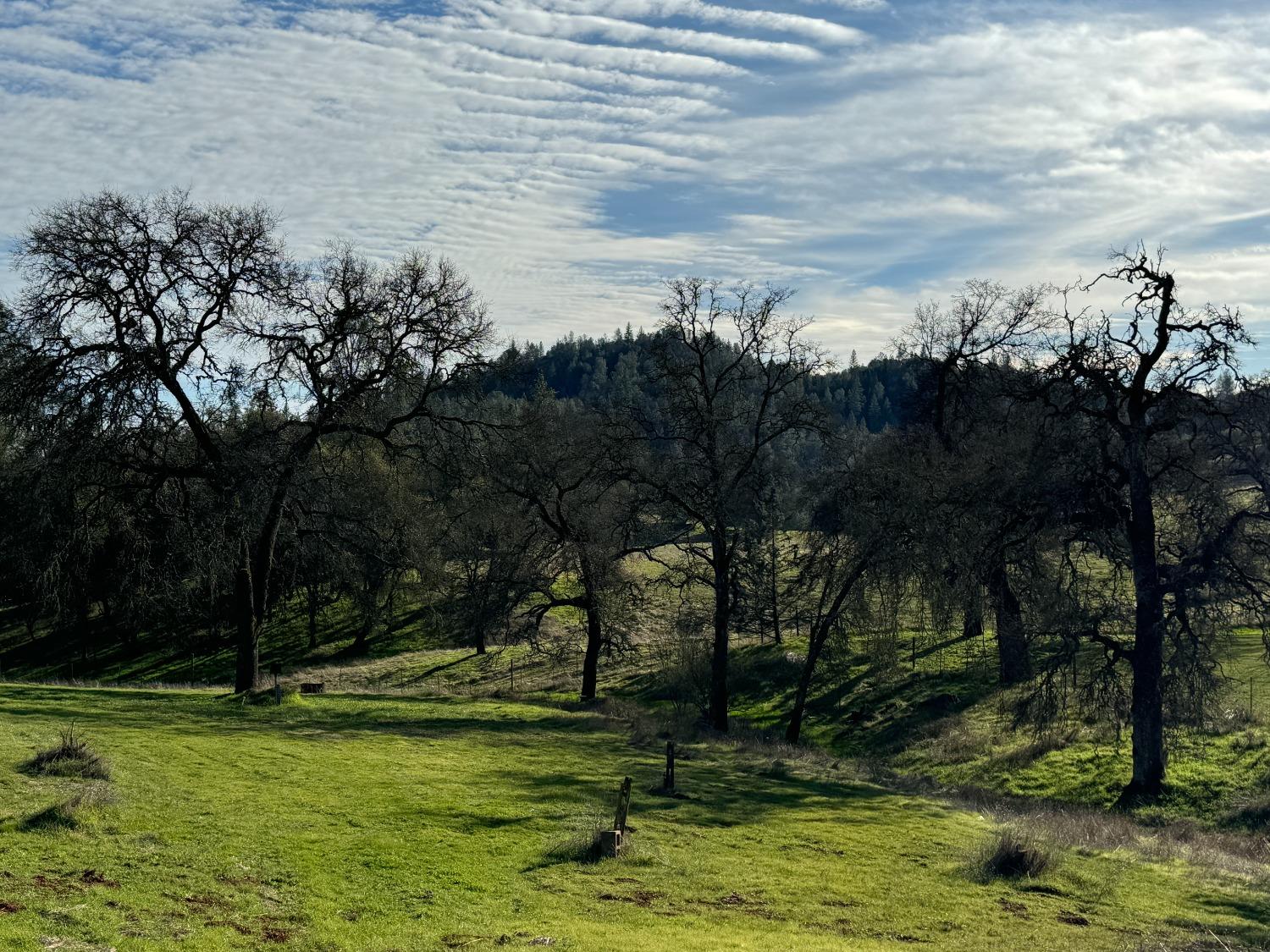 Indian Rock Road, Cool, California image 34