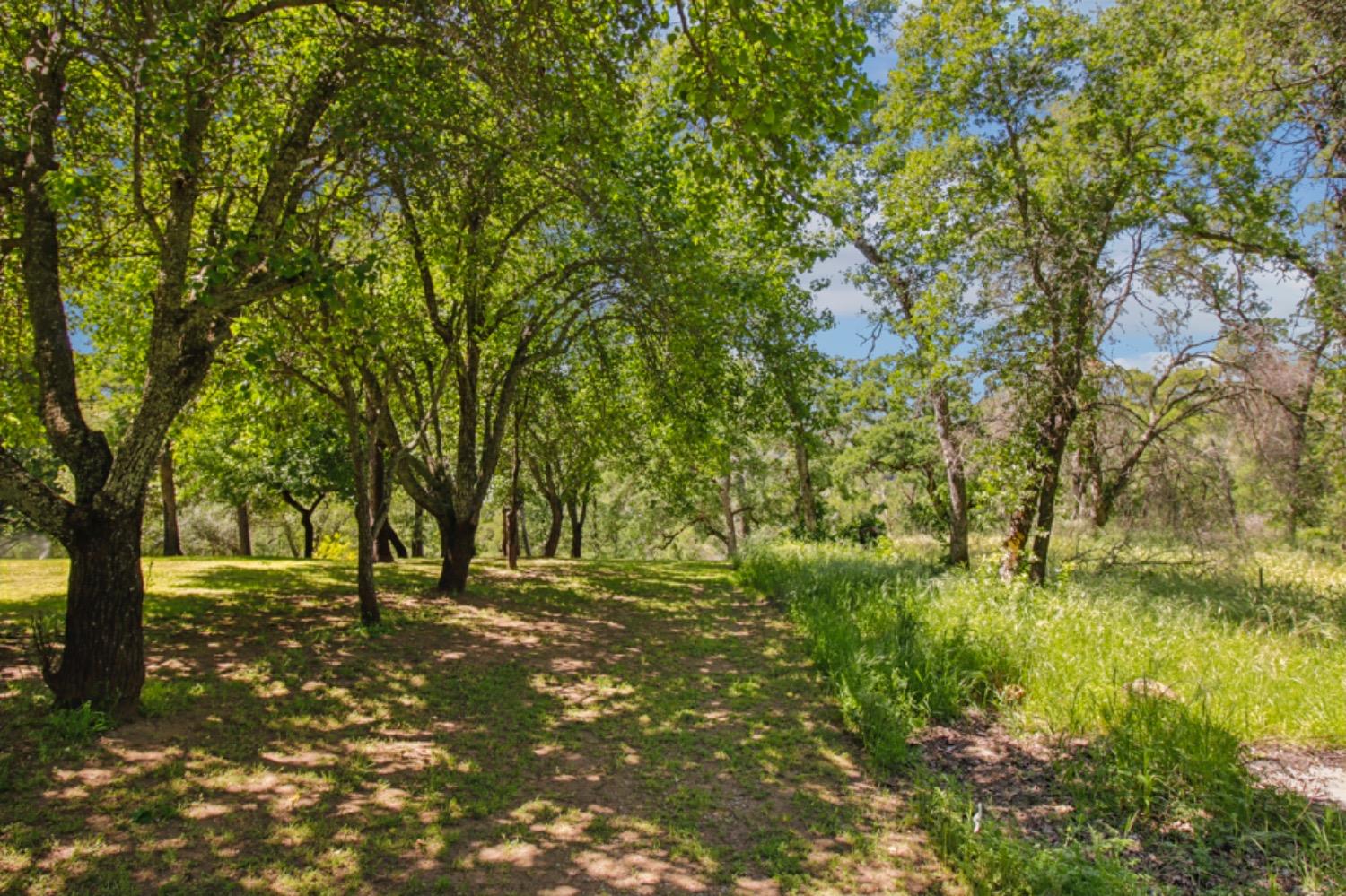 Detail Gallery Image 21 of 22 For 731 Janet Ct, Newcastle,  CA 95658 - – Beds | – Baths