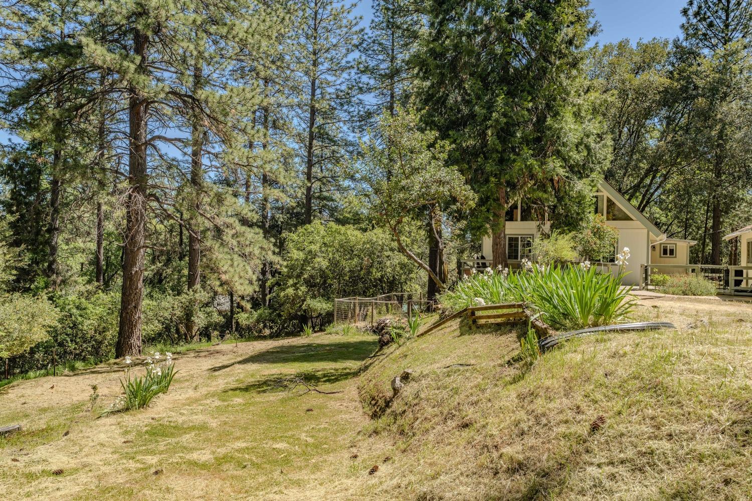 Detail Gallery Image 37 of 42 For 14178 Marc Dr, Pine Grove,  CA 95665 - 3 Beds | 1/1 Baths