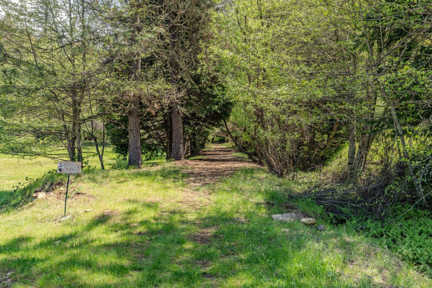 Detail Gallery Image 51 of 57 For 7250 Mitchell Mill Rd, Wilseyville,  CA 95257 - 3 Beds | 1 Baths