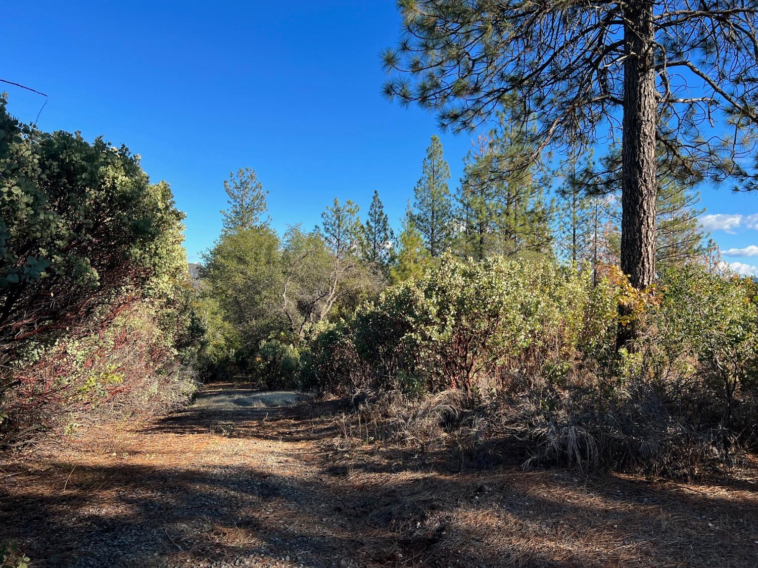 Detail Gallery Image 5 of 9 For 15375 Cliff Rd, Nevada City,  CA 95959 - – Beds | – Baths