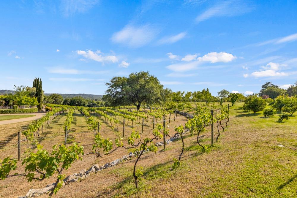 Detail Gallery Image 60 of 65 For 7543 Old Pear Hill Ln, Penryn,  CA 95663 - 5 Beds | 4/2 Baths