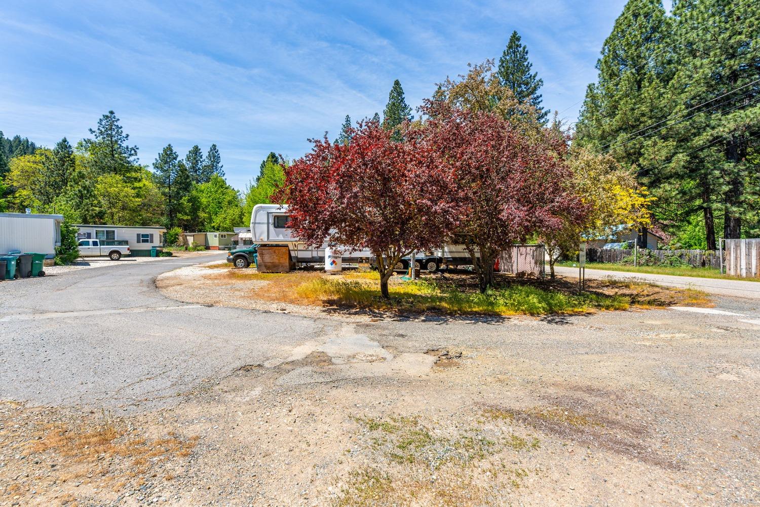 Detail Gallery Image 3 of 14 For 1200 Pioneer Rd, Quincy,  CA 95971 - – Beds | – Baths