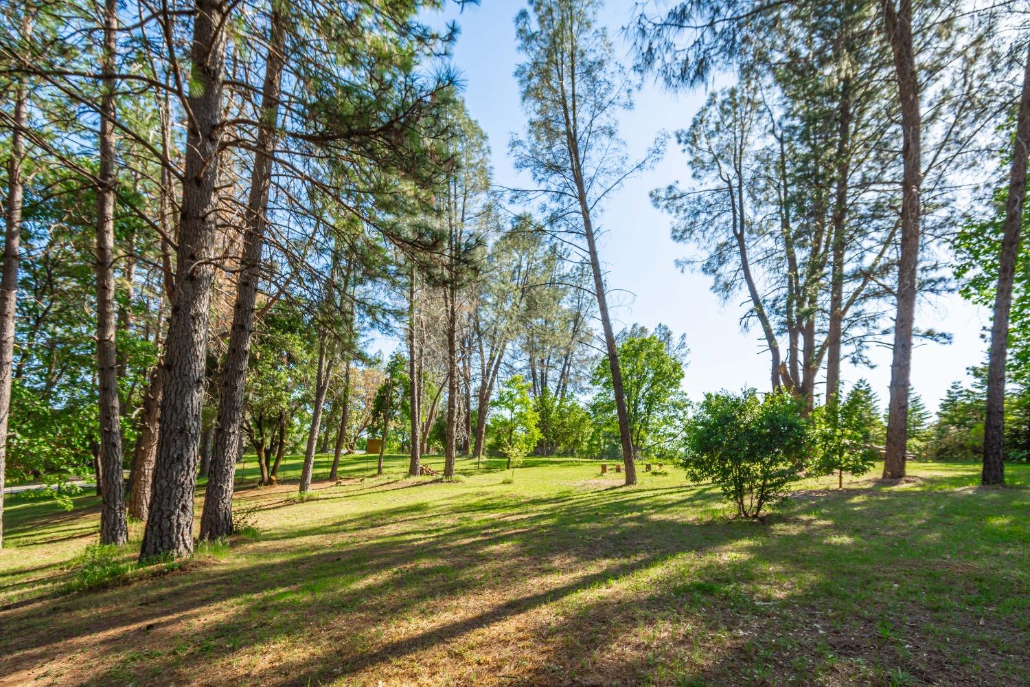 Detail Gallery Image 55 of 56 For 6570 Mosquito Rd, Placerville,  CA 95667 - 3 Beds | 2 Baths