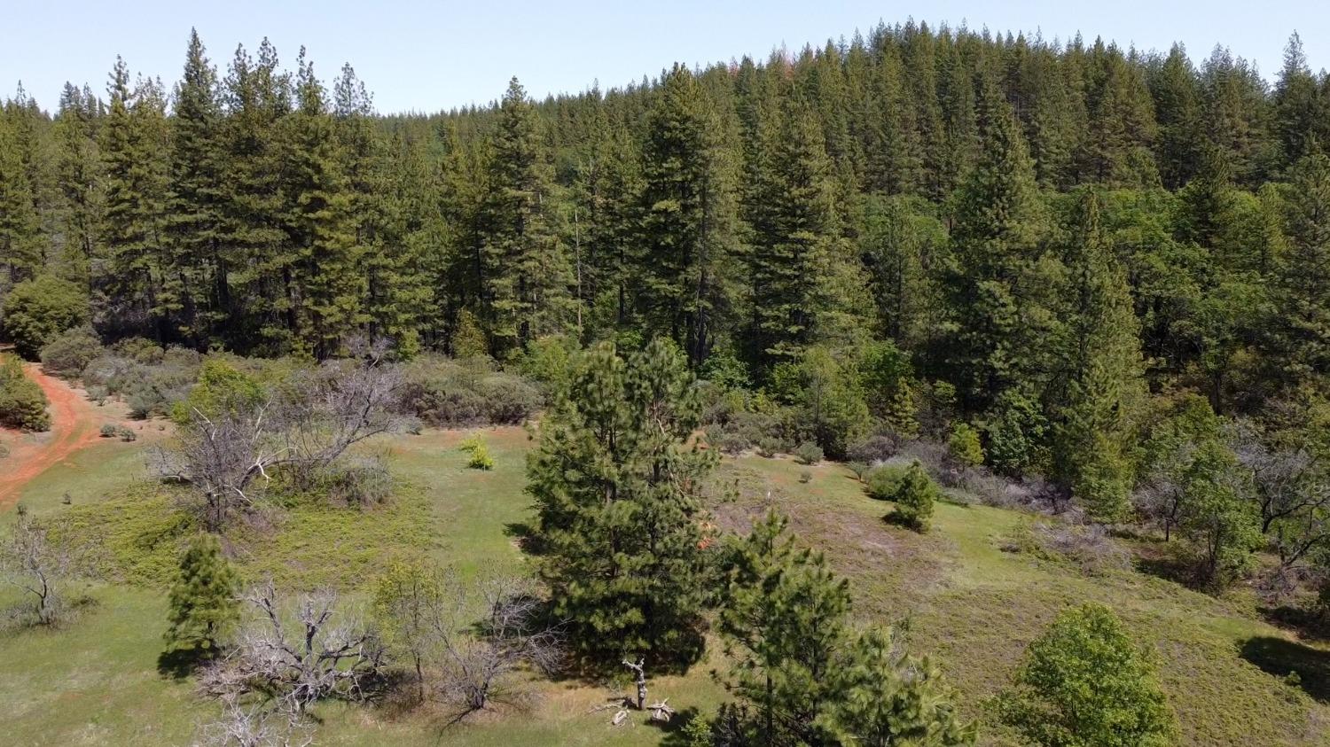 Bear Creek Road, Garden Valley, California image 9