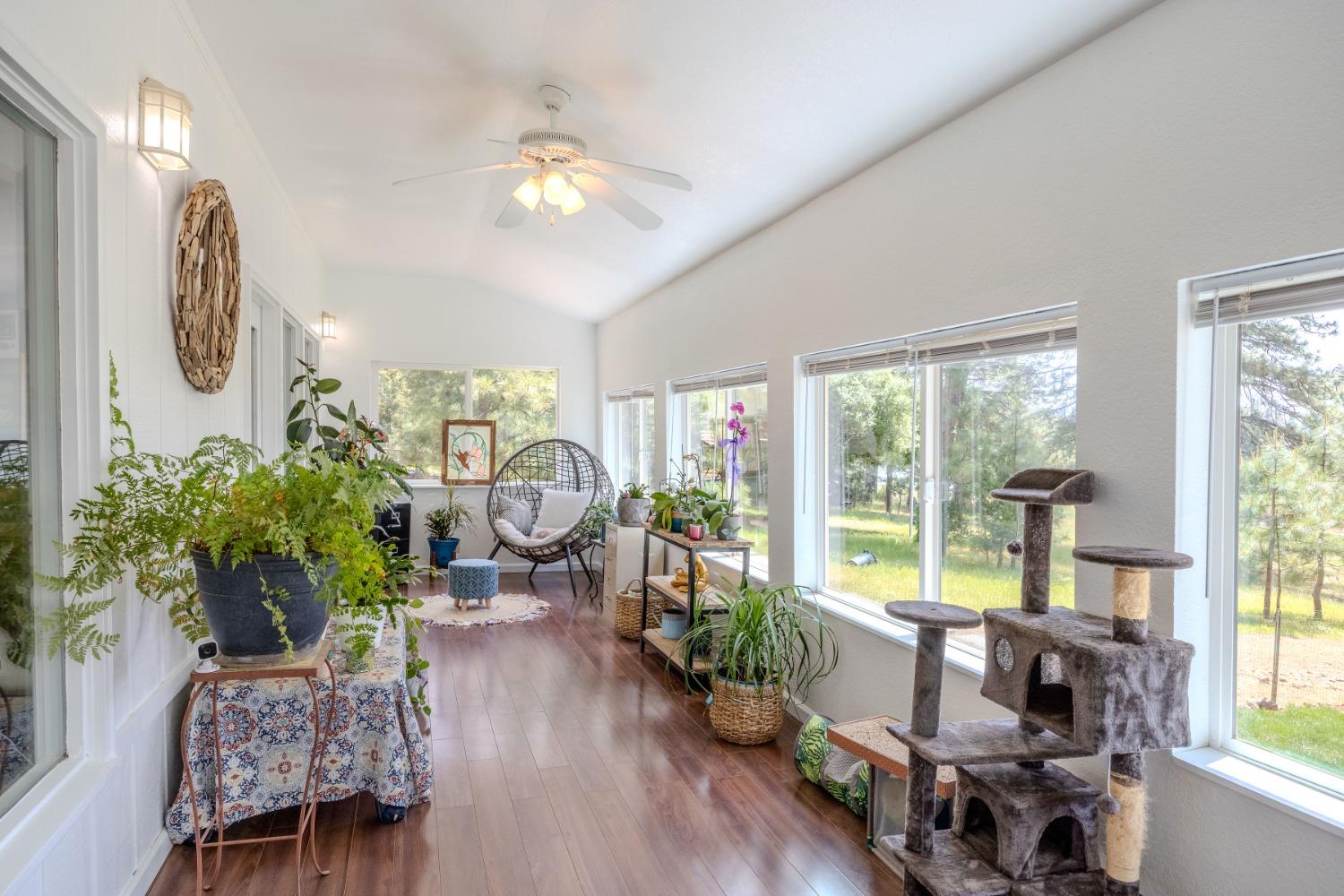 Detail Gallery Image 20 of 39 For 19560 Mella Drive, Volcano,  CA 95689 - 2 Beds | 2/1 Baths