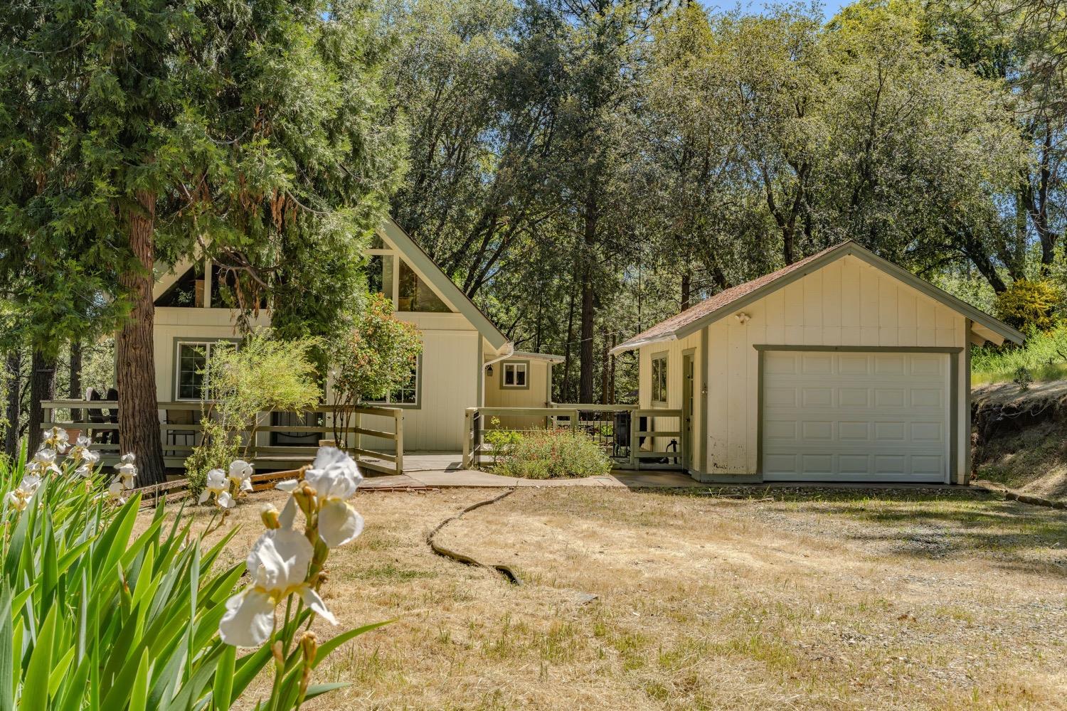 Detail Gallery Image 4 of 42 For 14178 Marc Dr, Pine Grove,  CA 95665 - 3 Beds | 1/1 Baths