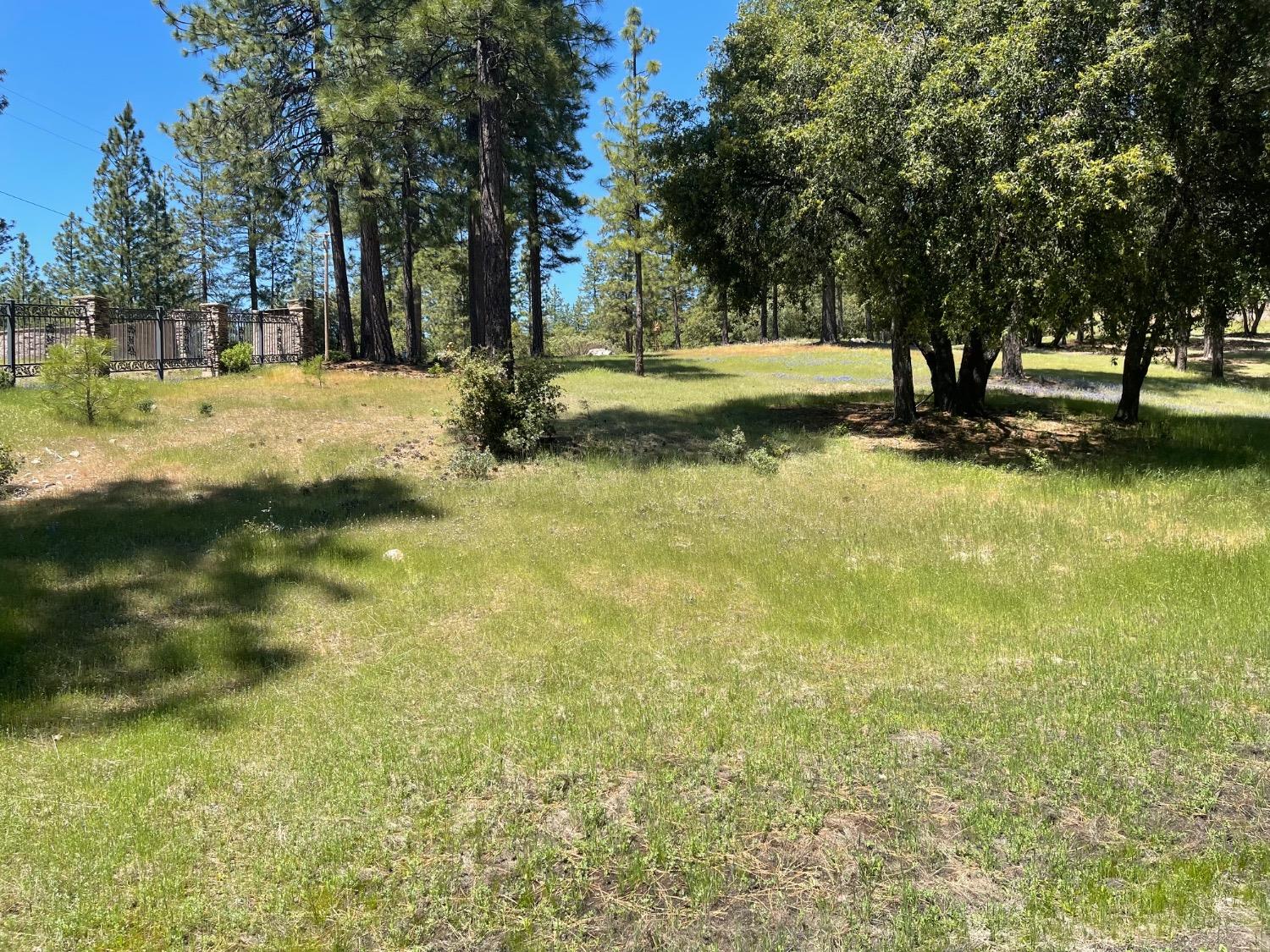 Fiske Hill Road, Coulterville, California image 14