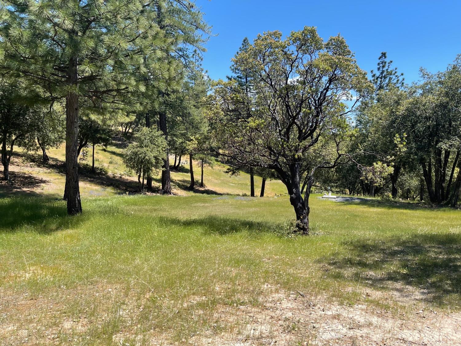 Fiske Hill Road, Coulterville, California image 9