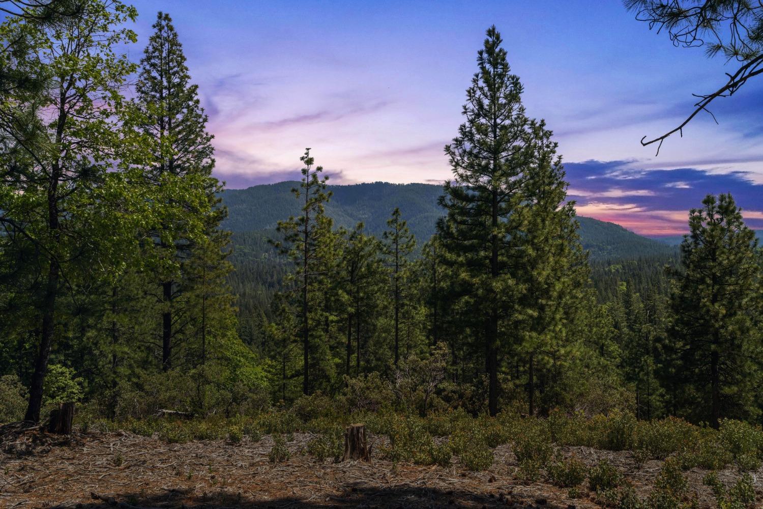 Detail Gallery Image 3 of 57 For 7250 Mitchell Mill Rd, Wilseyville,  CA 95257 - 3 Beds | 1 Baths