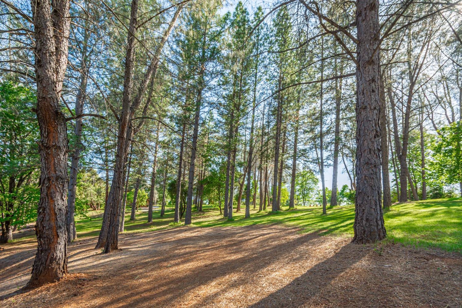 Detail Gallery Image 53 of 56 For 6570 Mosquito Rd, Placerville,  CA 95667 - 3 Beds | 2 Baths