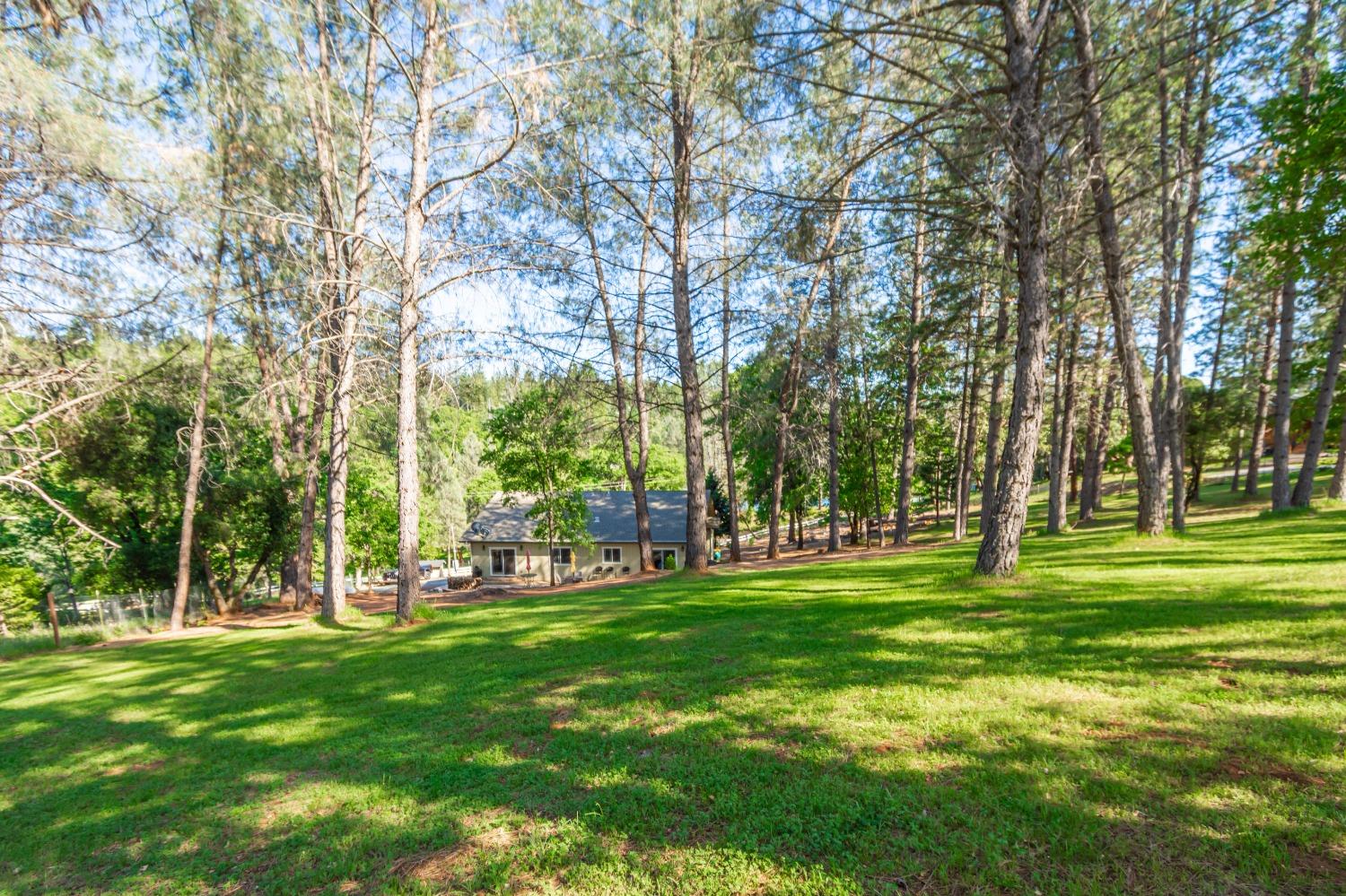 Detail Gallery Image 56 of 56 For 6570 Mosquito Rd, Placerville,  CA 95667 - 3 Beds | 2 Baths