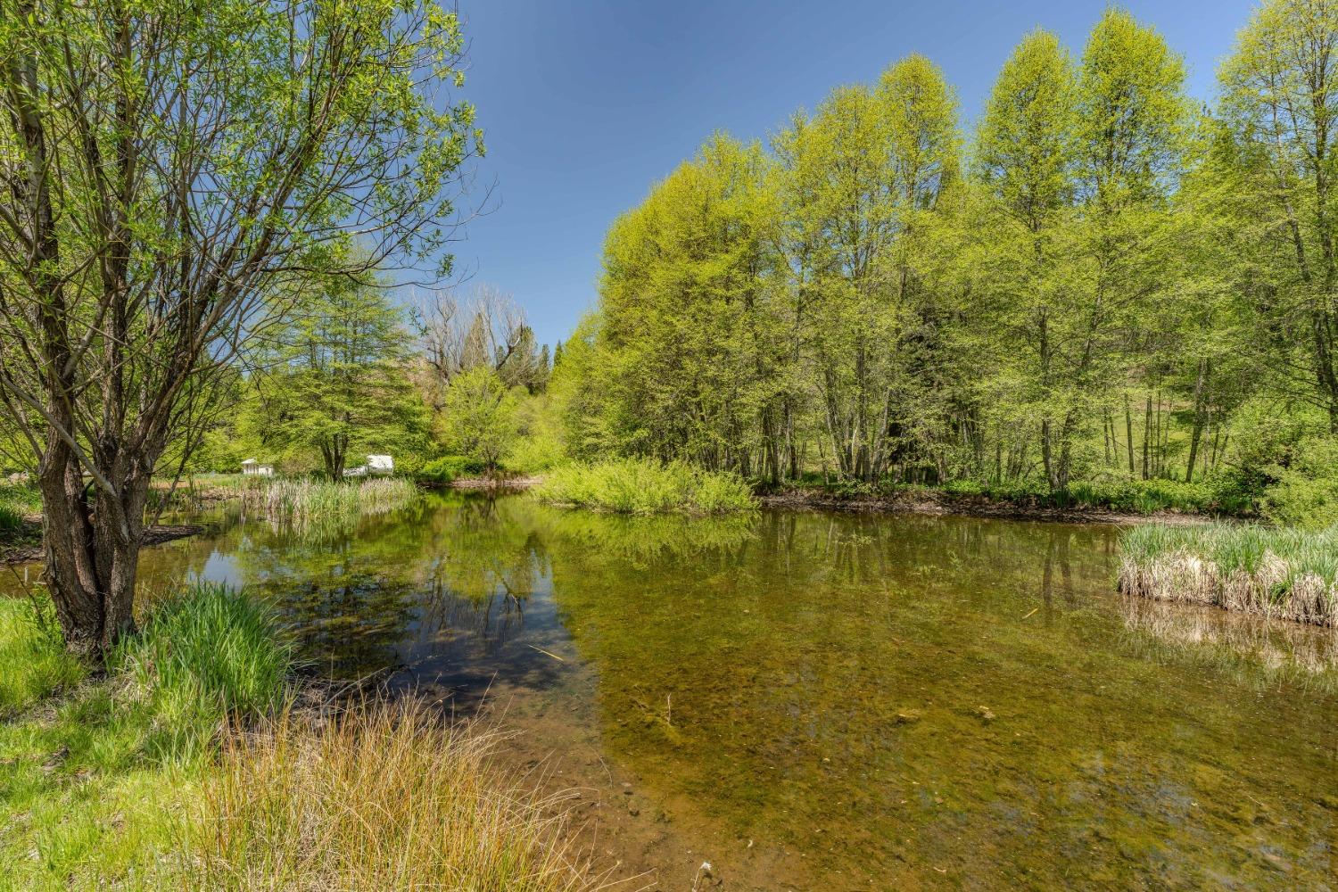 Detail Gallery Image 5 of 57 For 7250 Mitchell Mill Rd, Wilseyville,  CA 95257 - 3 Beds | 1 Baths