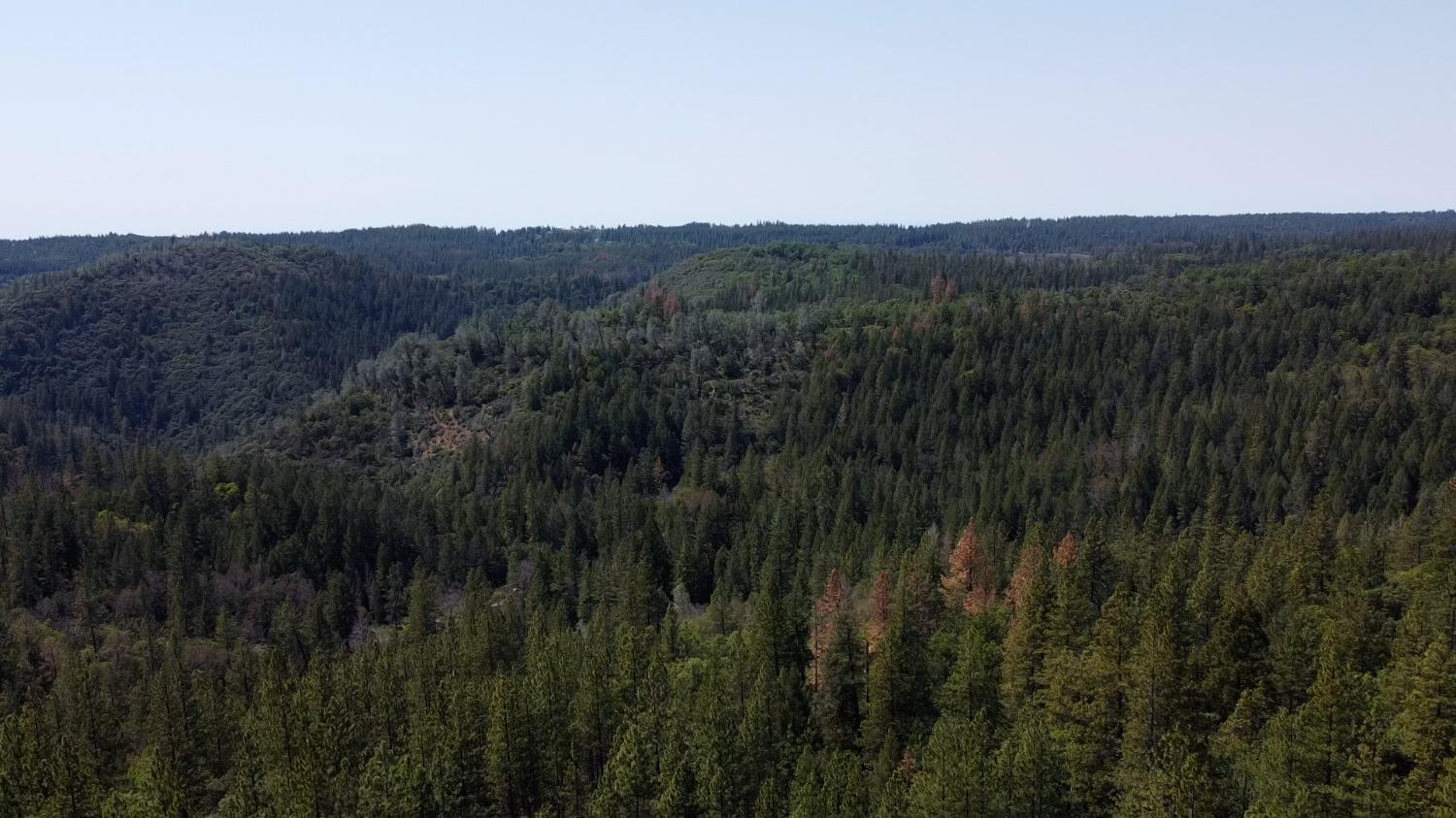 Bear Creek Road, Garden Valley, California image 5