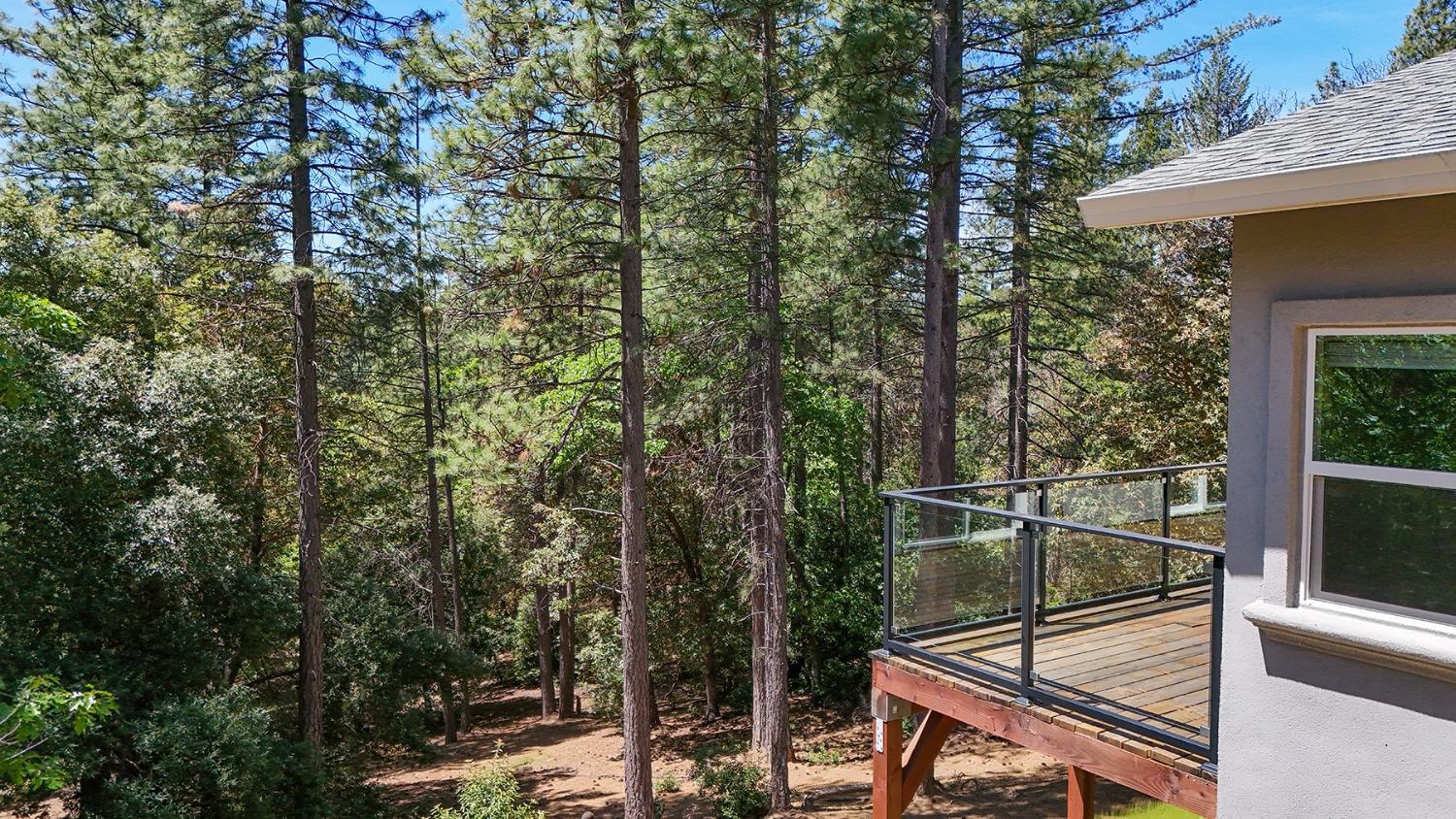 Buckeye Court, Placerville, California image 8