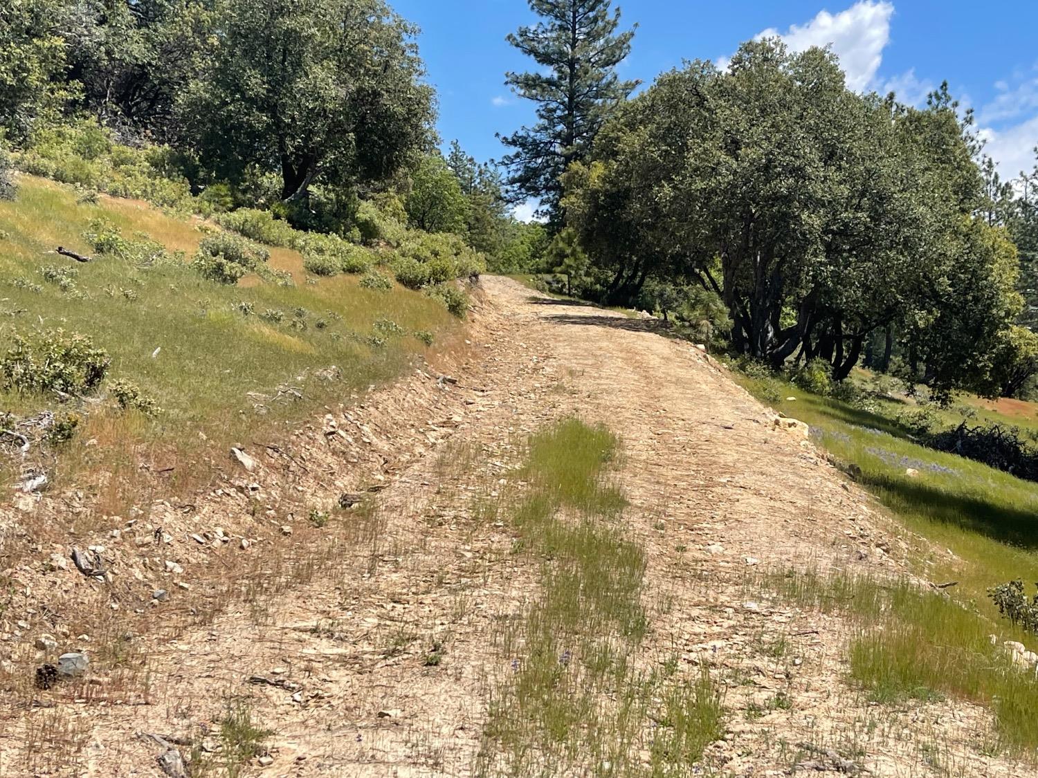 Fiske Hill Road, Coulterville, California image 6