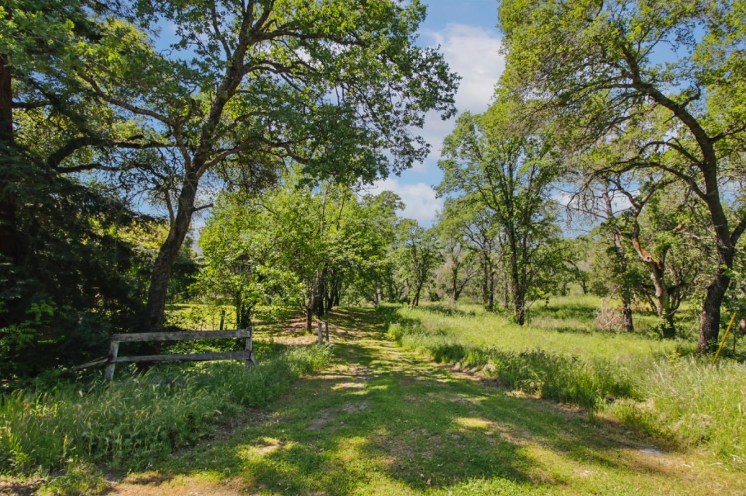 Detail Gallery Image 19 of 22 For 731 Janet Ct, Newcastle,  CA 95658 - – Beds | – Baths