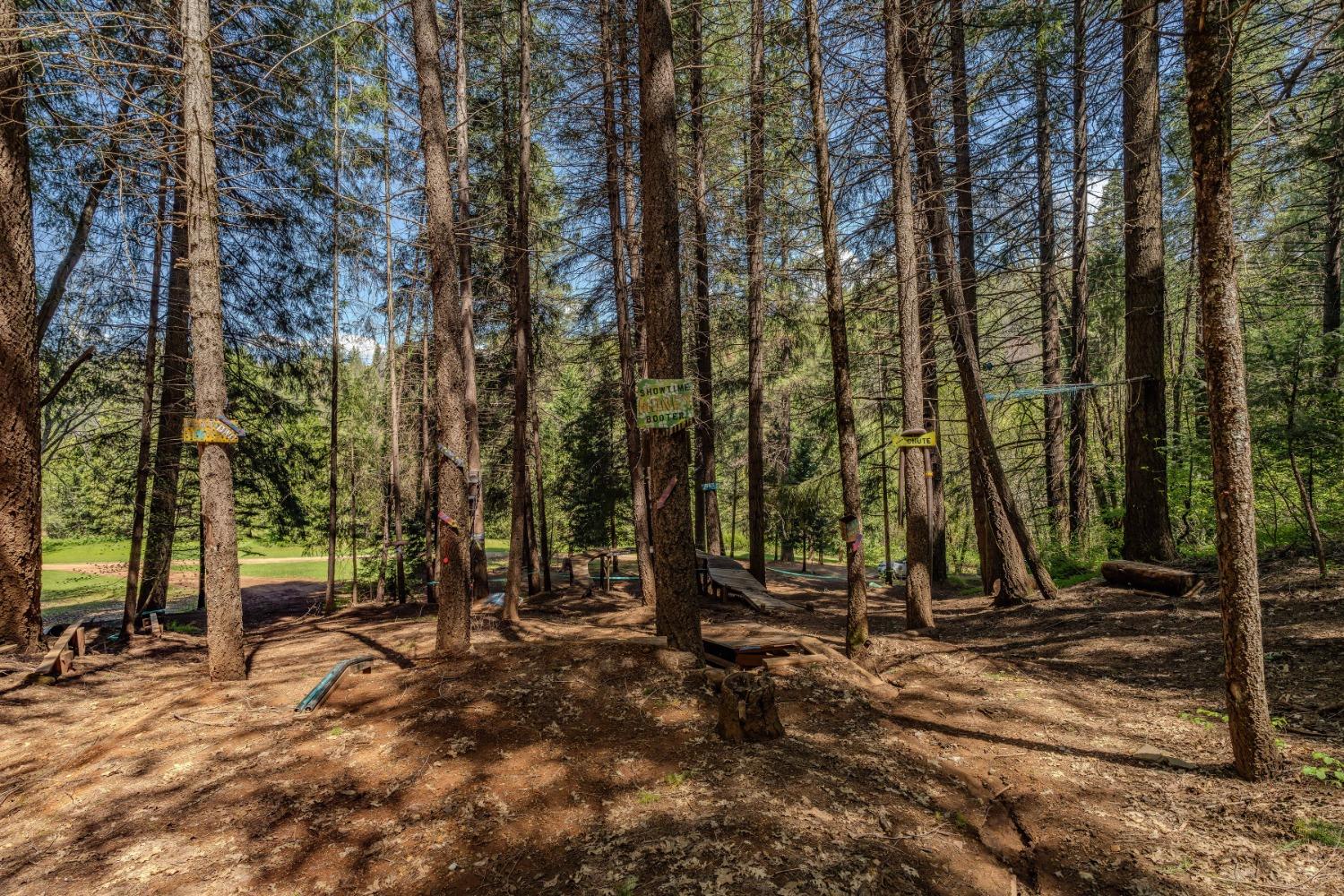 Detail Gallery Image 46 of 57 For 7250 Mitchell Mill Rd, Wilseyville,  CA 95257 - 3 Beds | 1 Baths