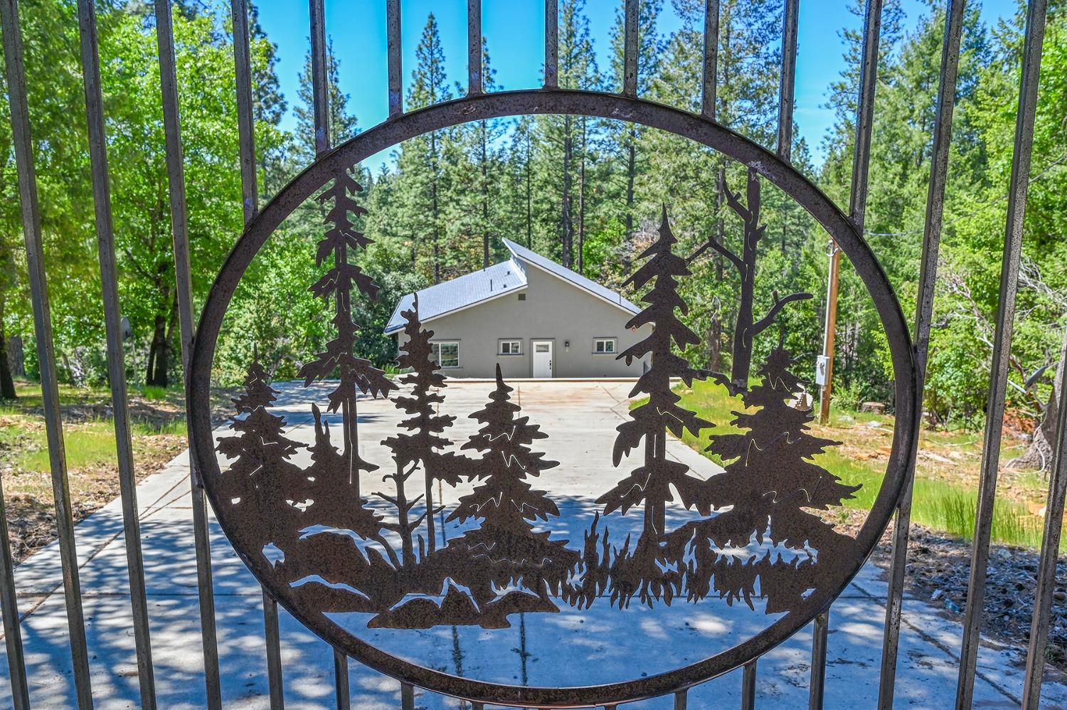 Buckeye Court, Placerville, California image 1