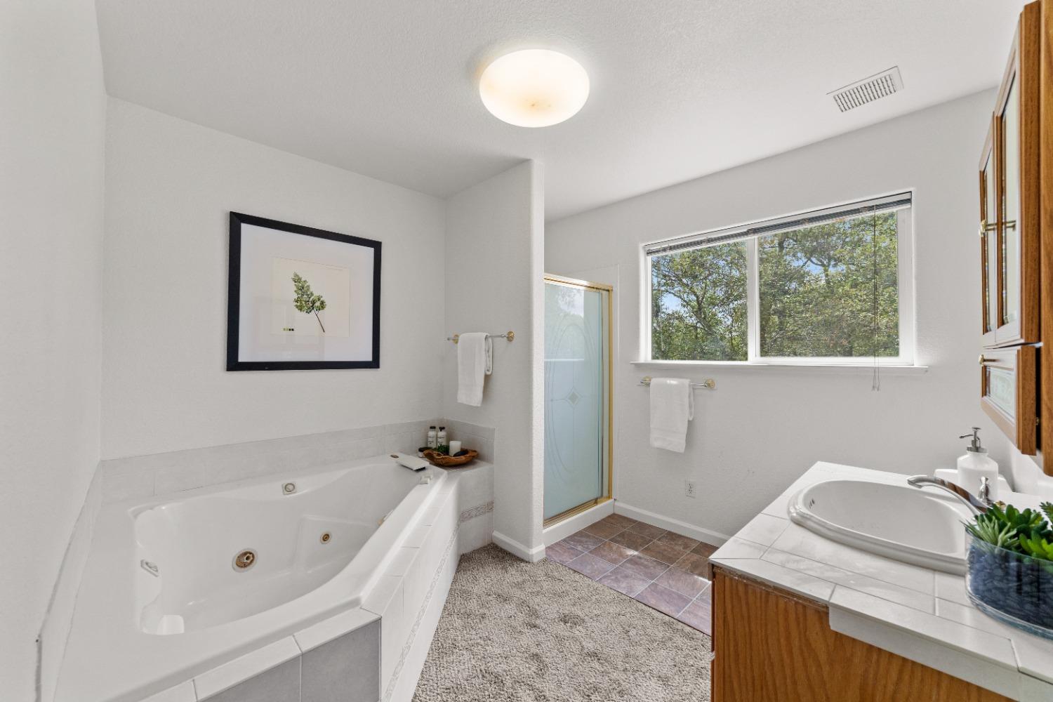 Detail Gallery Image 73 of 99 For 6825 Monitor Ct, El Dorado,  CA 95623 - 5 Beds | 3 Baths
