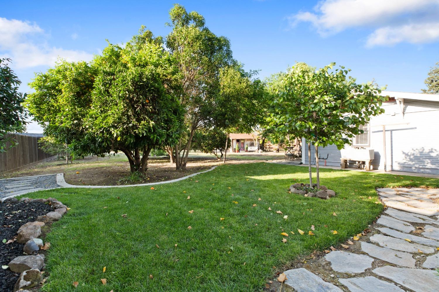 Detail Gallery Image 66 of 90 For 2420 Vine Ave, Escalon,  CA 95320 - 3 Beds | 2 Baths