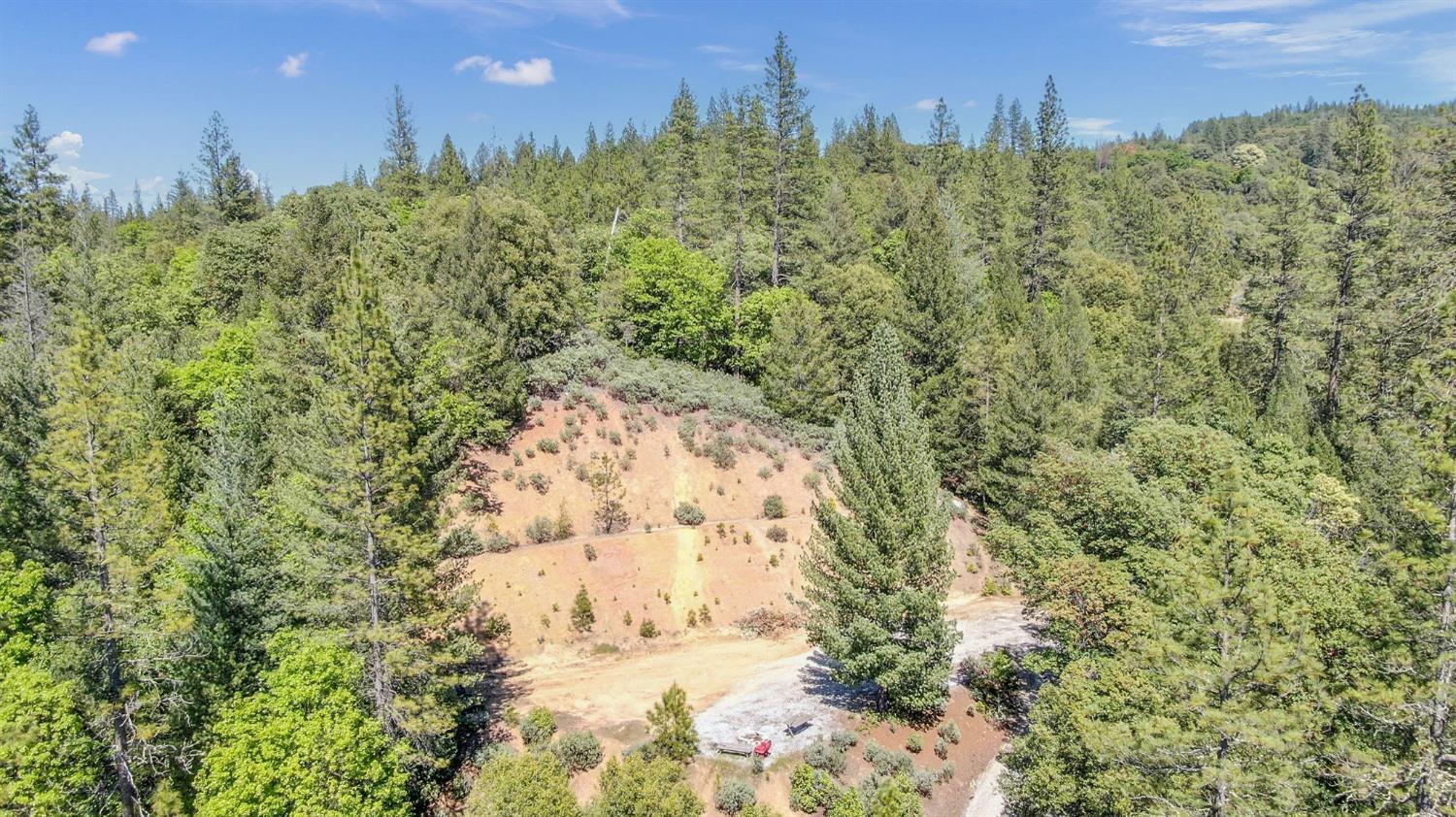 Detail Gallery Image 26 of 29 For 15435 Old Giannini Ranch Rd, Volcano,  CA 95685 - 1 Beds | 1 Baths