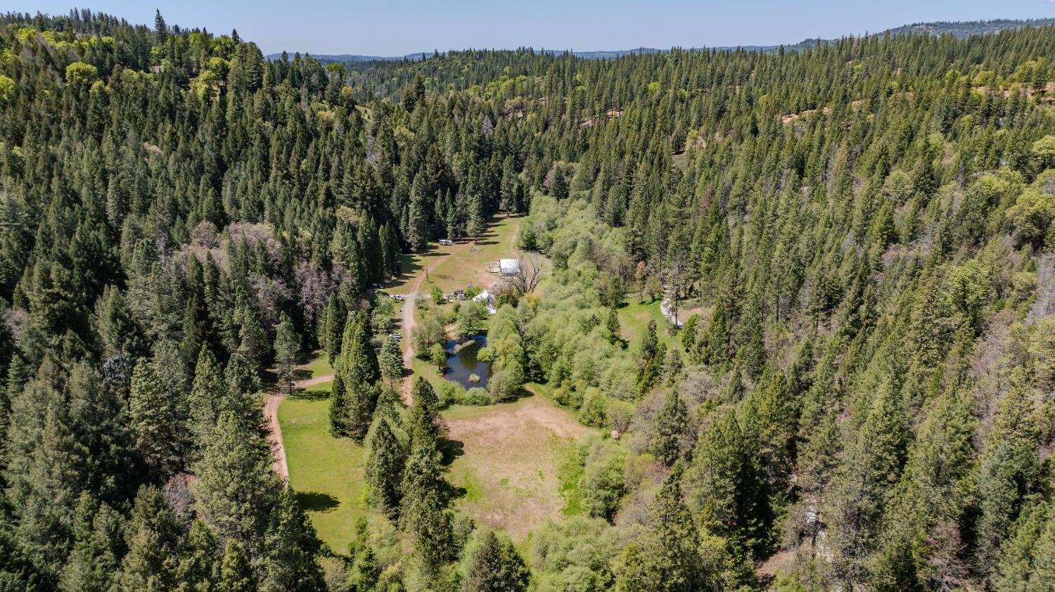 Detail Gallery Image 57 of 57 For 7250 Mitchell Mill Rd, Wilseyville,  CA 95257 - 3 Beds | 1 Baths