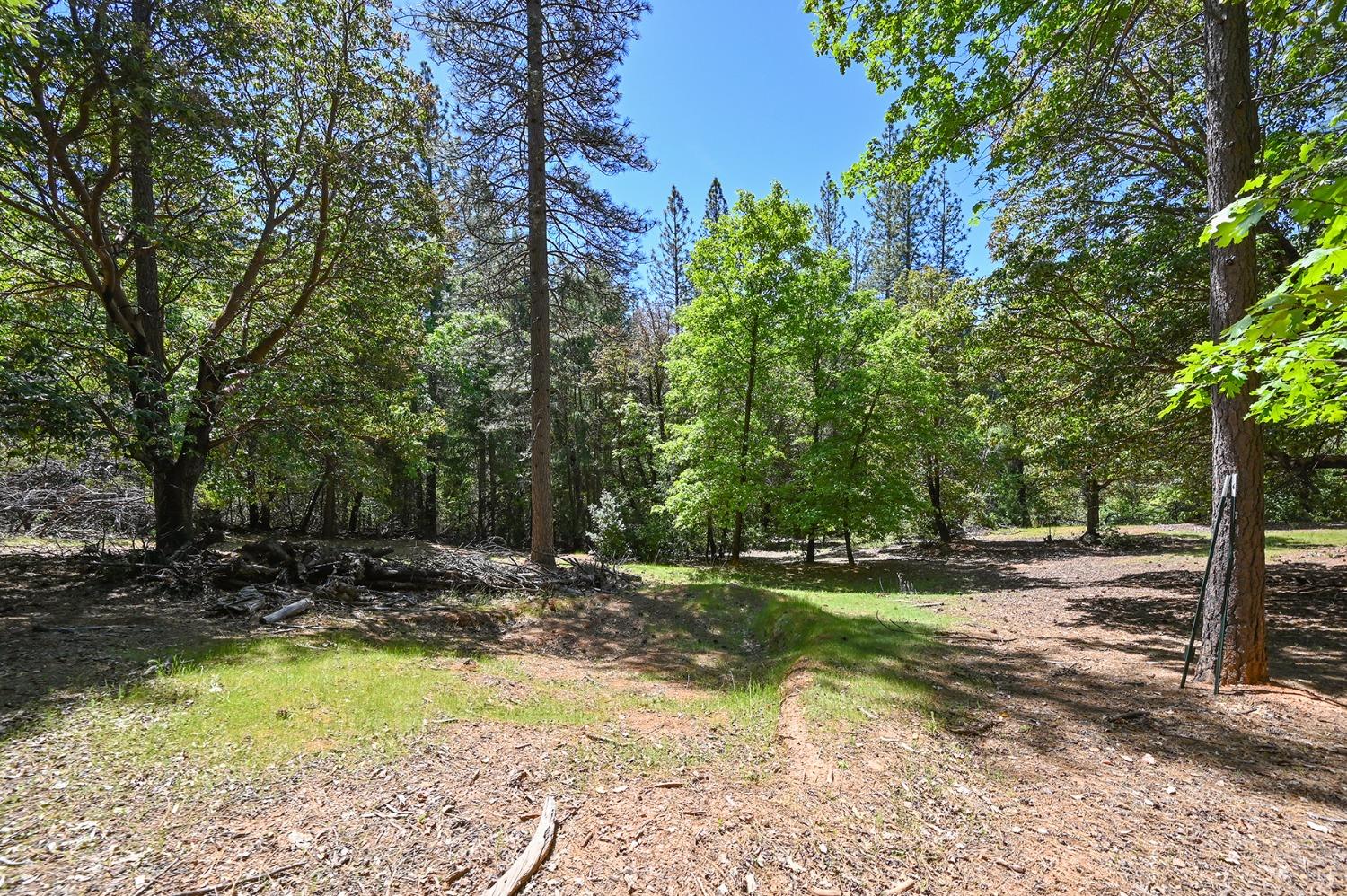 Buckeye Court, Placerville, California image 41