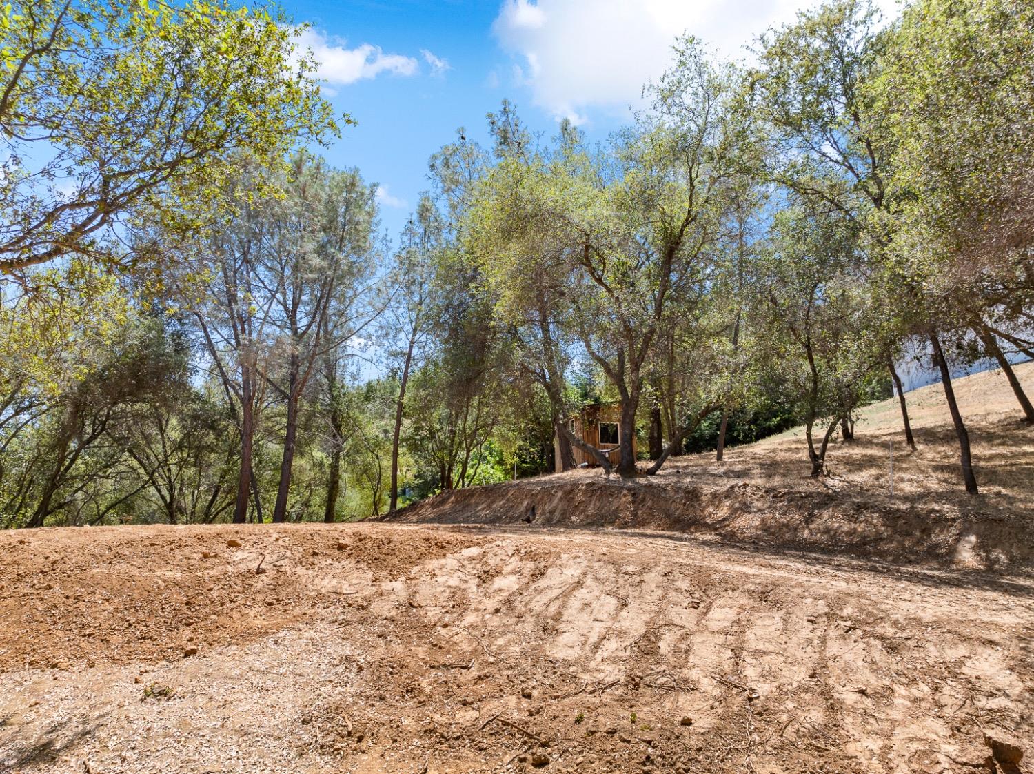 Torero Way, El Dorado Hills, California image 16
