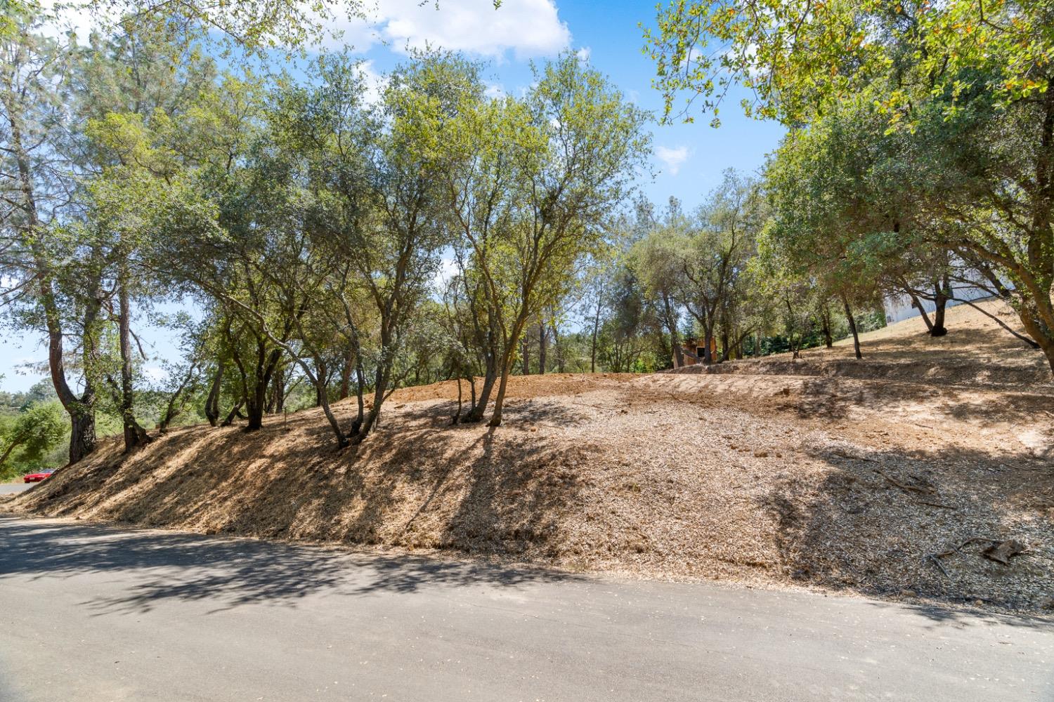 Torero Way, El Dorado Hills, California image 21
