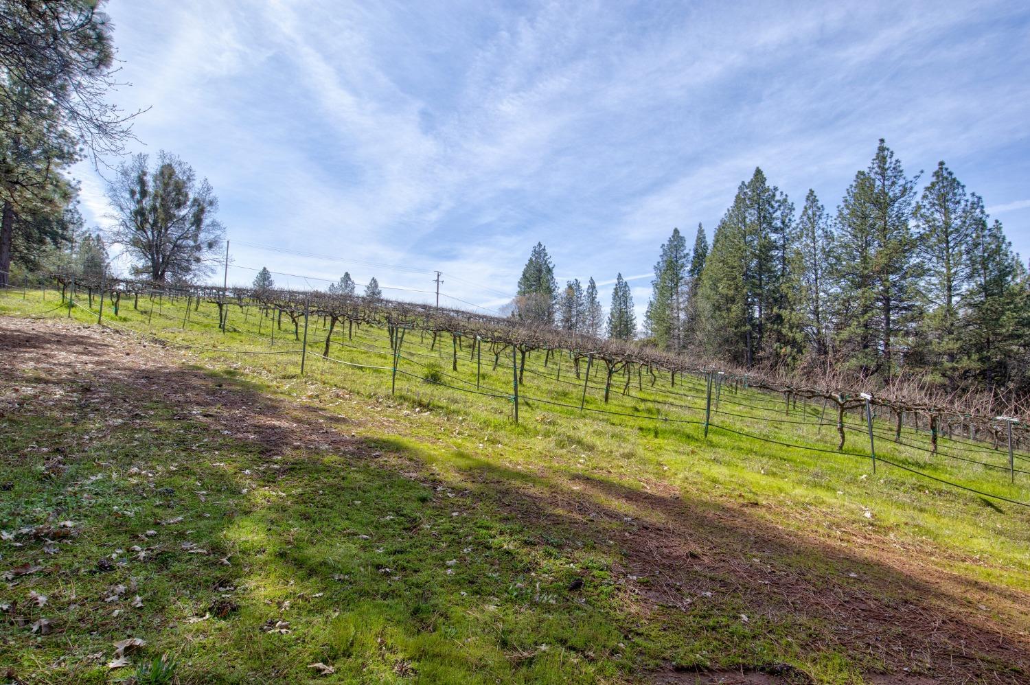 Detail Gallery Image 43 of 71 For 4771 Greenhills Rd, Placerville,  CA 95667 - – Beds | – Baths