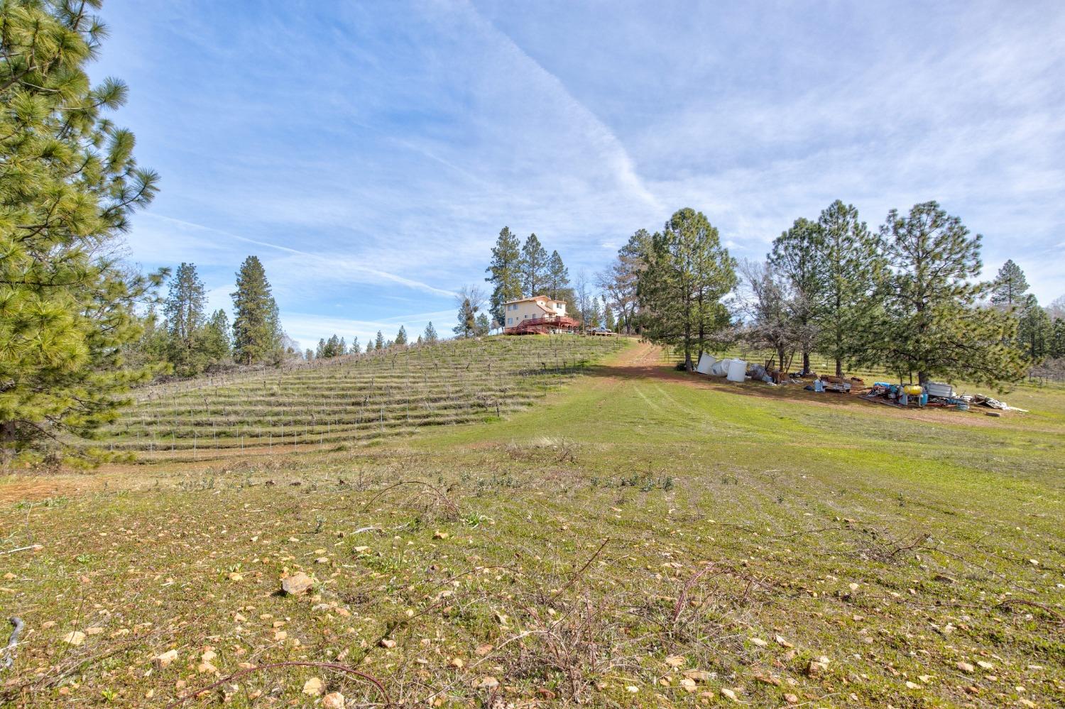 Detail Gallery Image 56 of 71 For 4771 Greenhills Rd, Placerville,  CA 95667 - – Beds | – Baths