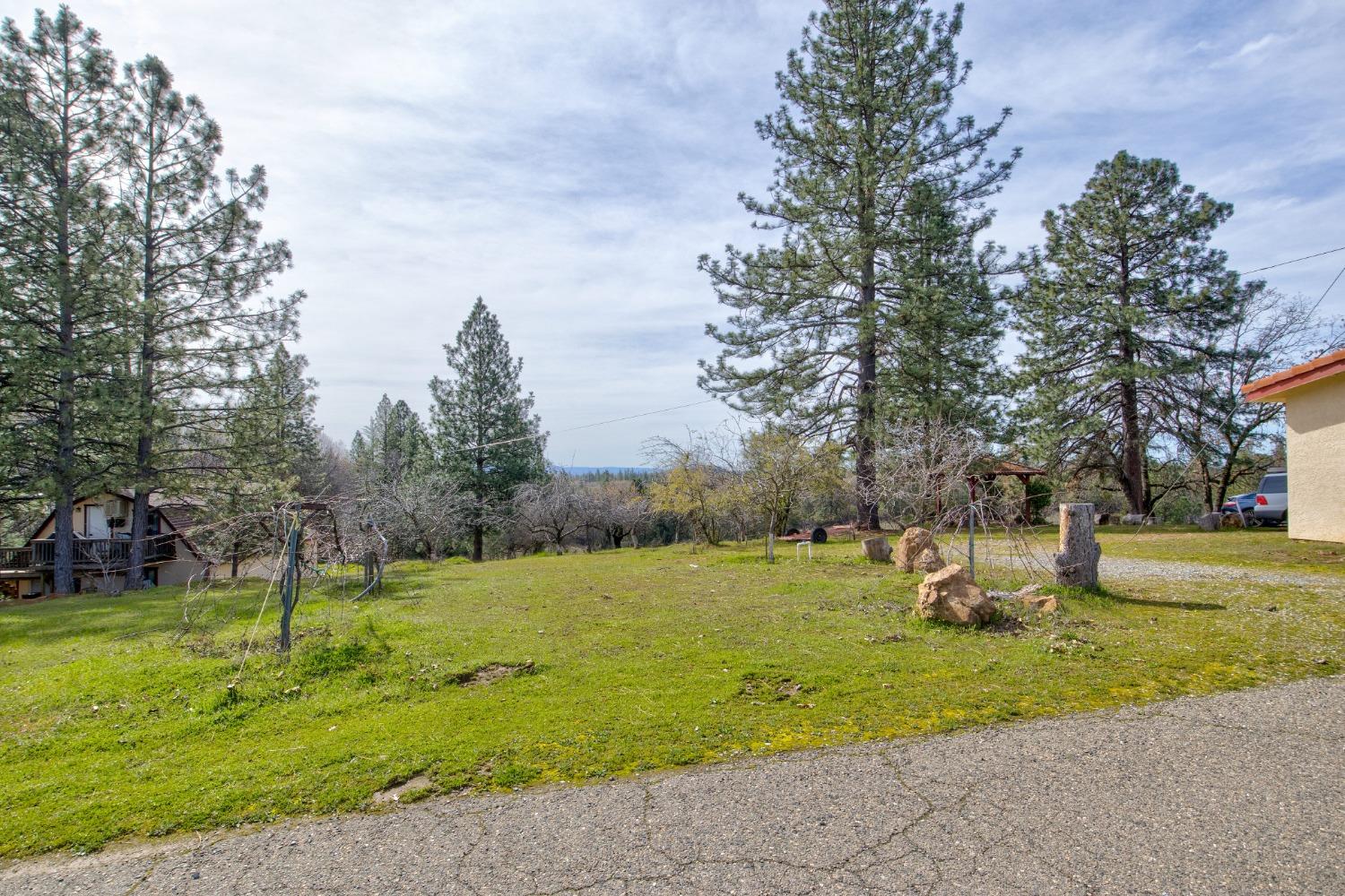 Detail Gallery Image 52 of 71 For 4771 Greenhills Rd, Placerville,  CA 95667 - – Beds | – Baths
