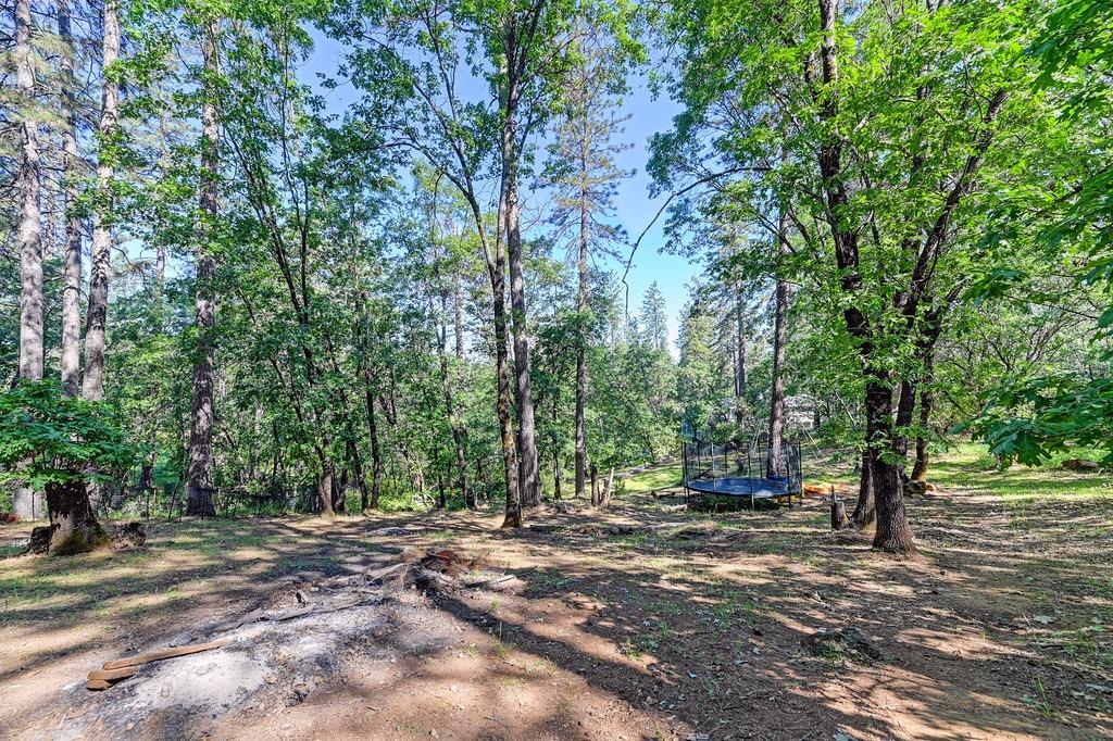 Detail Gallery Image 44 of 54 For 21855 Digger Pine Ln, Colfax,  CA 95713 - 3 Beds | 2 Baths