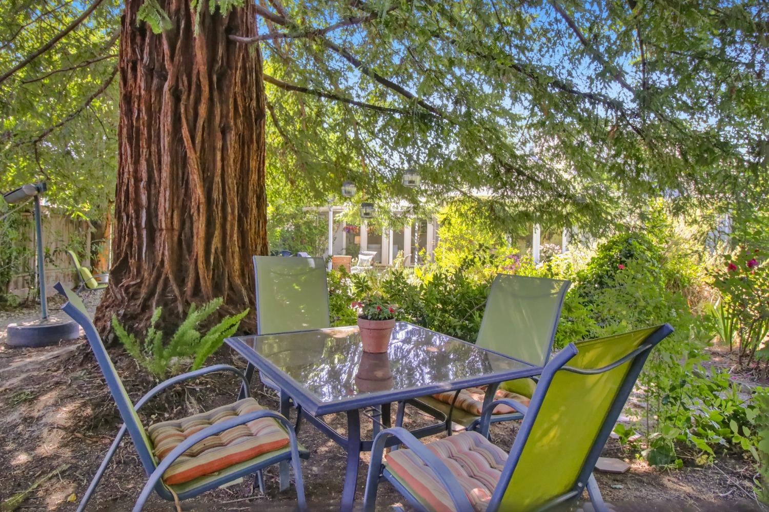 Detail Gallery Image 49 of 73 For 1837 Drew Ct, Carmichael,  CA 95608 - 4 Beds | 2 Baths