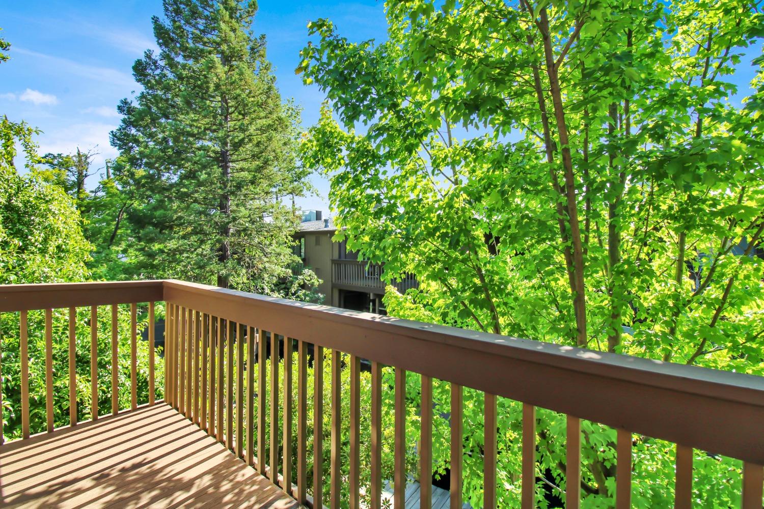 Photo #23: 225058646 Listing: Photo #23