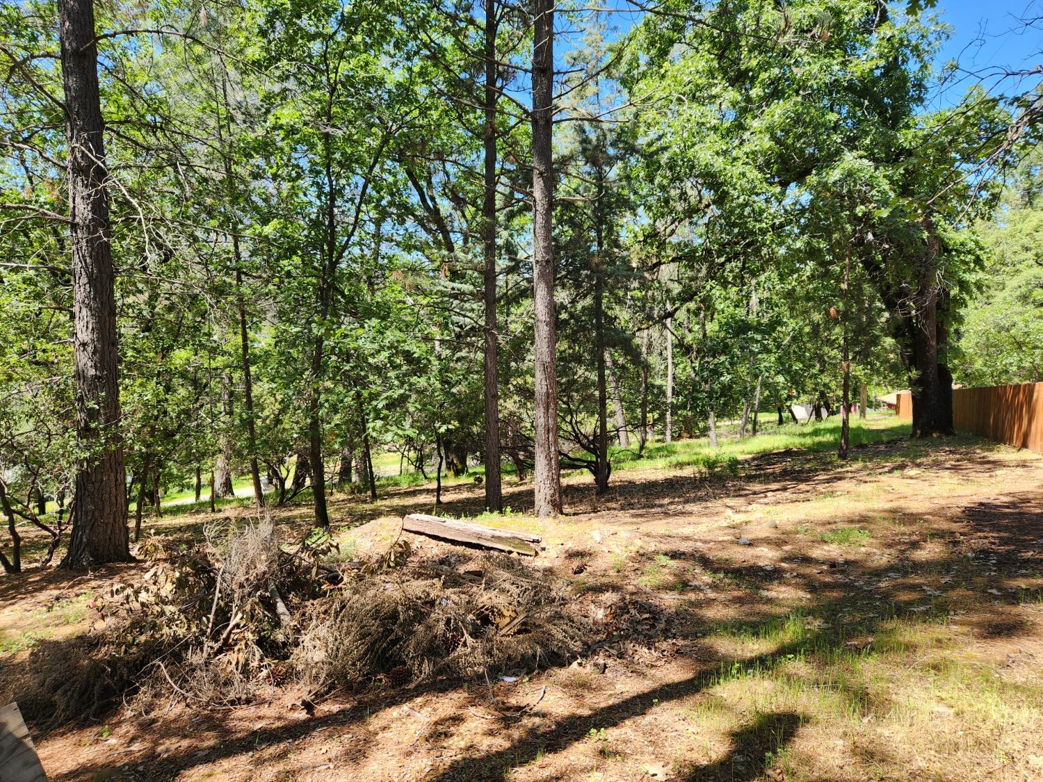 Detail Gallery Image 1 of 33 For 401 Iyu Camp Rd, Colfax,  CA 95713 - 2 Beds | 2 Baths