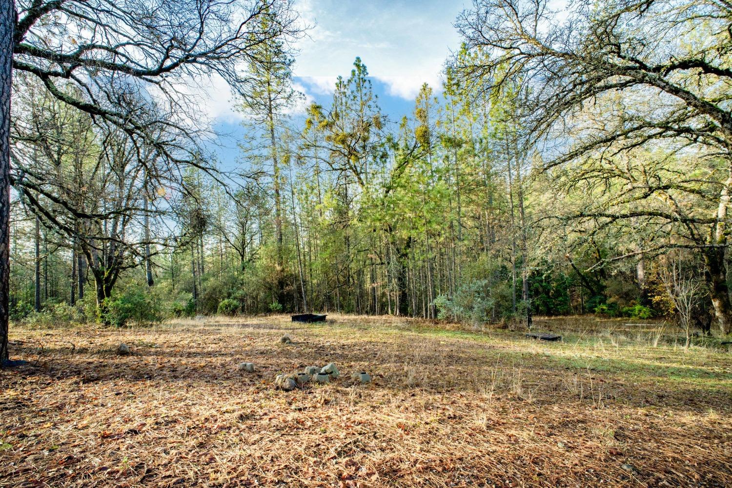 Deadmans Flat Road, Grass Valley, California image 37