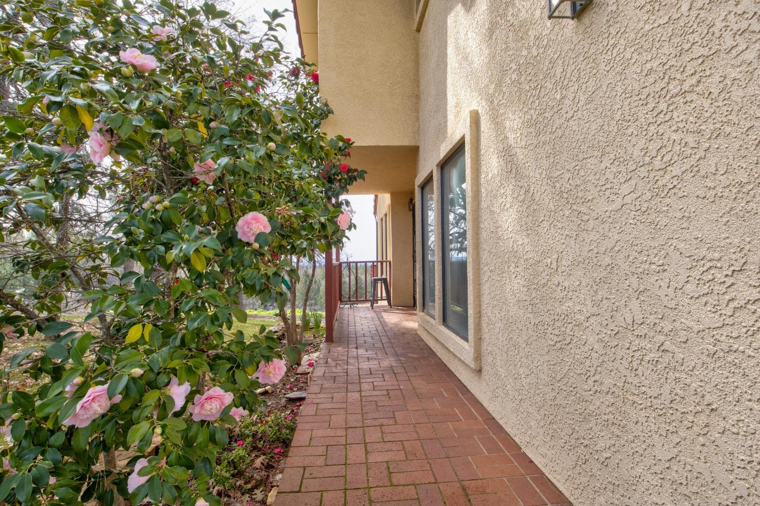 Detail Gallery Image 10 of 71 For 4771 Greenhills Rd, Placerville,  CA 95667 - – Beds | – Baths