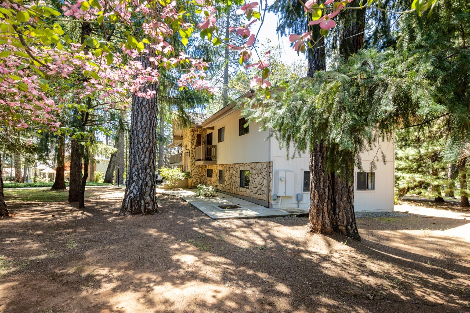Detail Gallery Image 5 of 50 For 6420 Longridge Ct, Foresthill,  CA 95631 - 4 Beds | 3 Baths