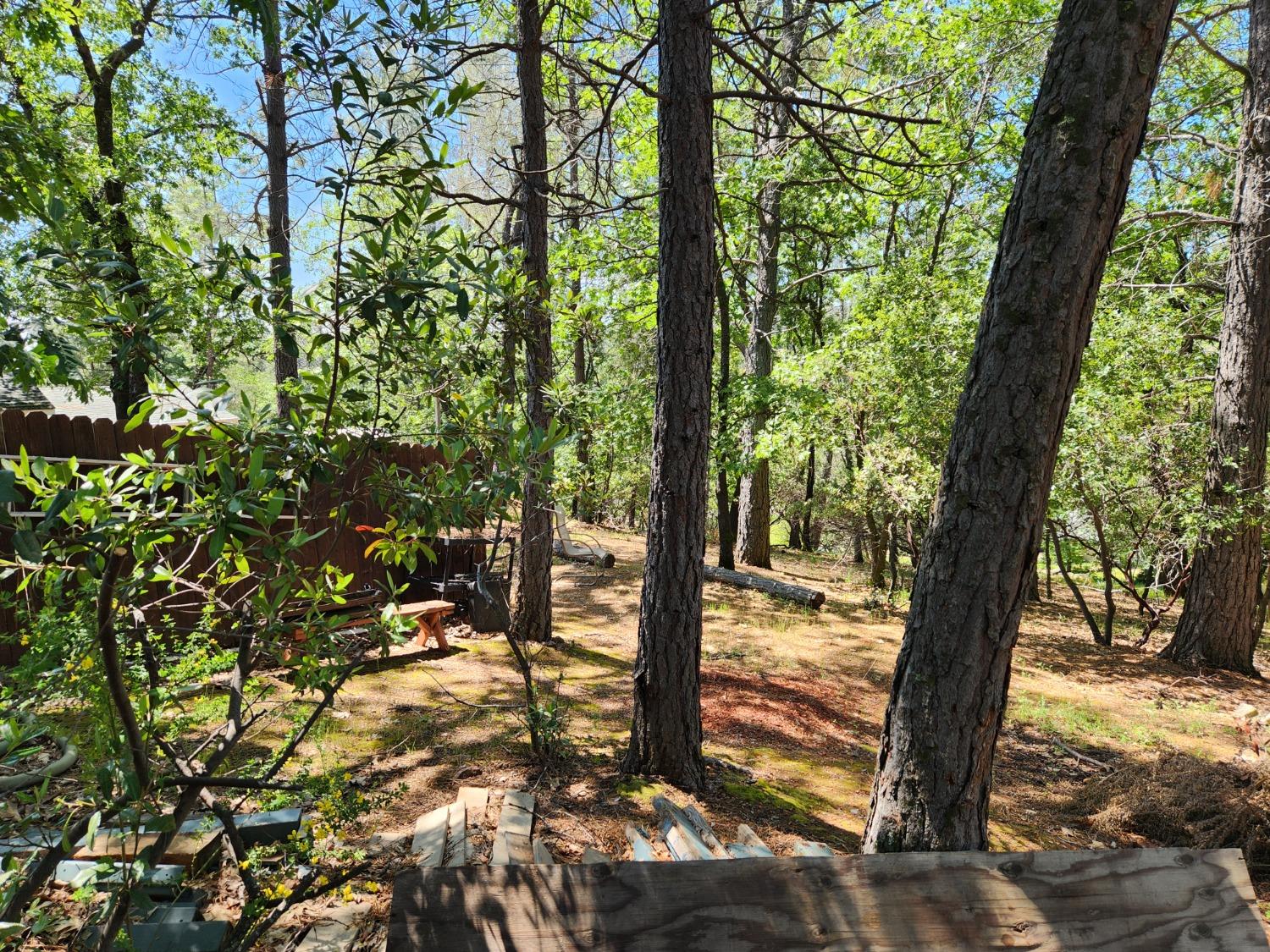 Detail Gallery Image 2 of 33 For 401 Iyu Camp Rd, Colfax,  CA 95713 - 2 Beds | 2 Baths