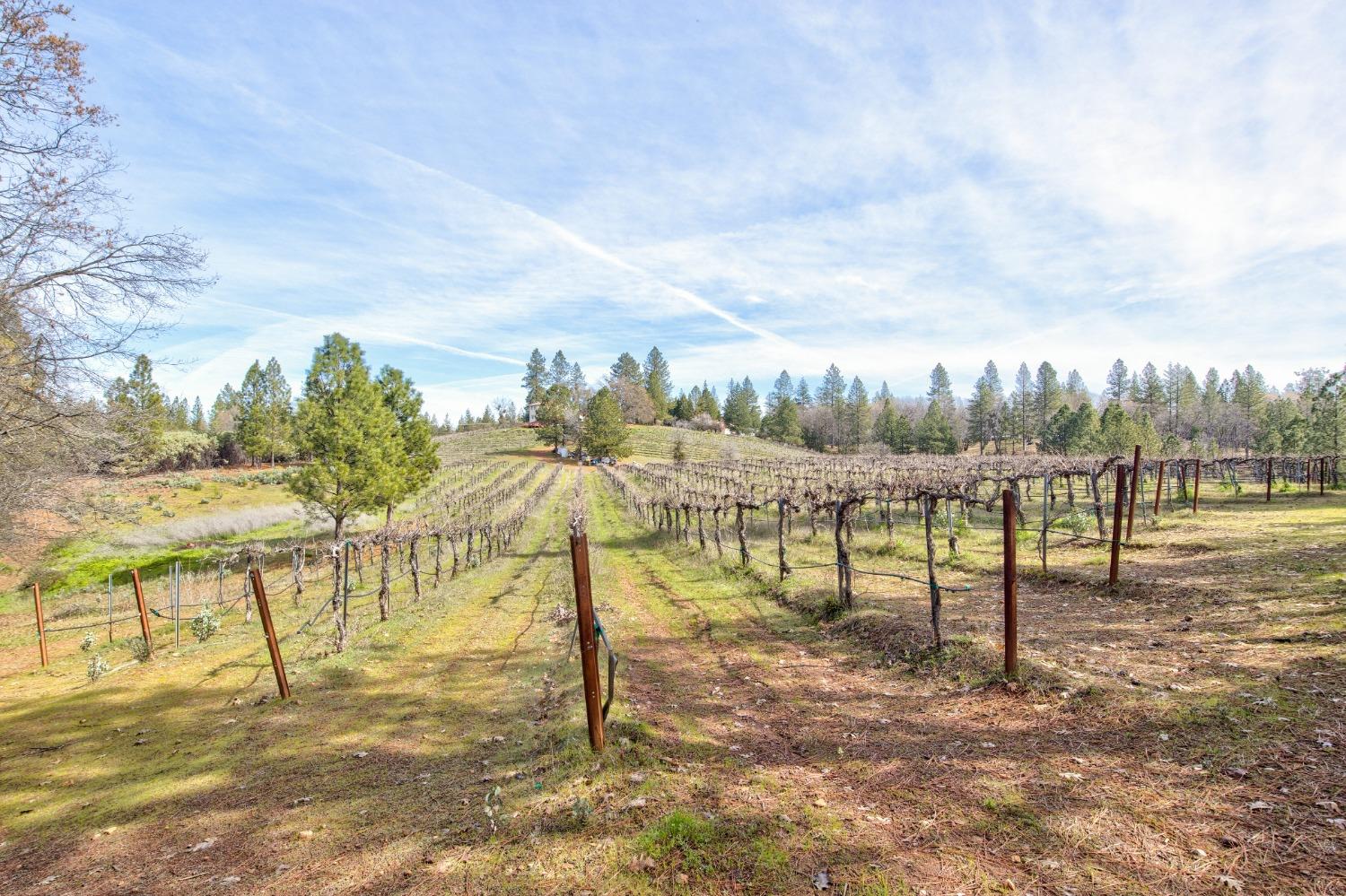 Detail Gallery Image 4 of 71 For 4771 Greenhills Rd, Placerville,  CA 95667 - – Beds | – Baths