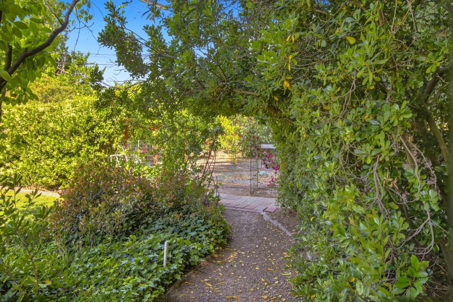 Detail Gallery Image 52 of 73 For 1837 Drew Ct, Carmichael,  CA 95608 - 4 Beds | 2 Baths