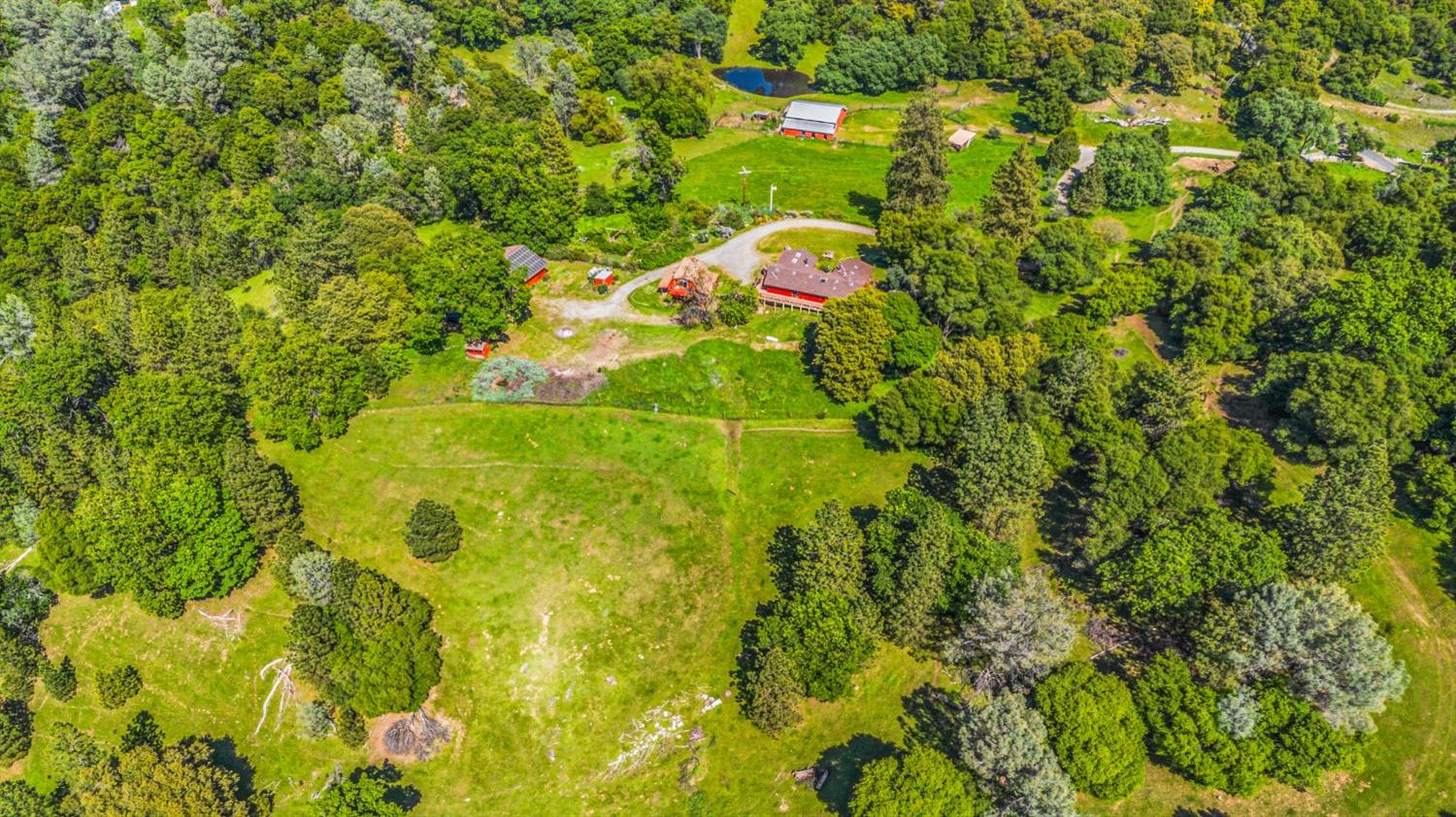 Detail Gallery Image 88 of 94 For 2575 Sand Ridge Rd, Placerville,  CA 95667 - 3 Beds | 2 Baths