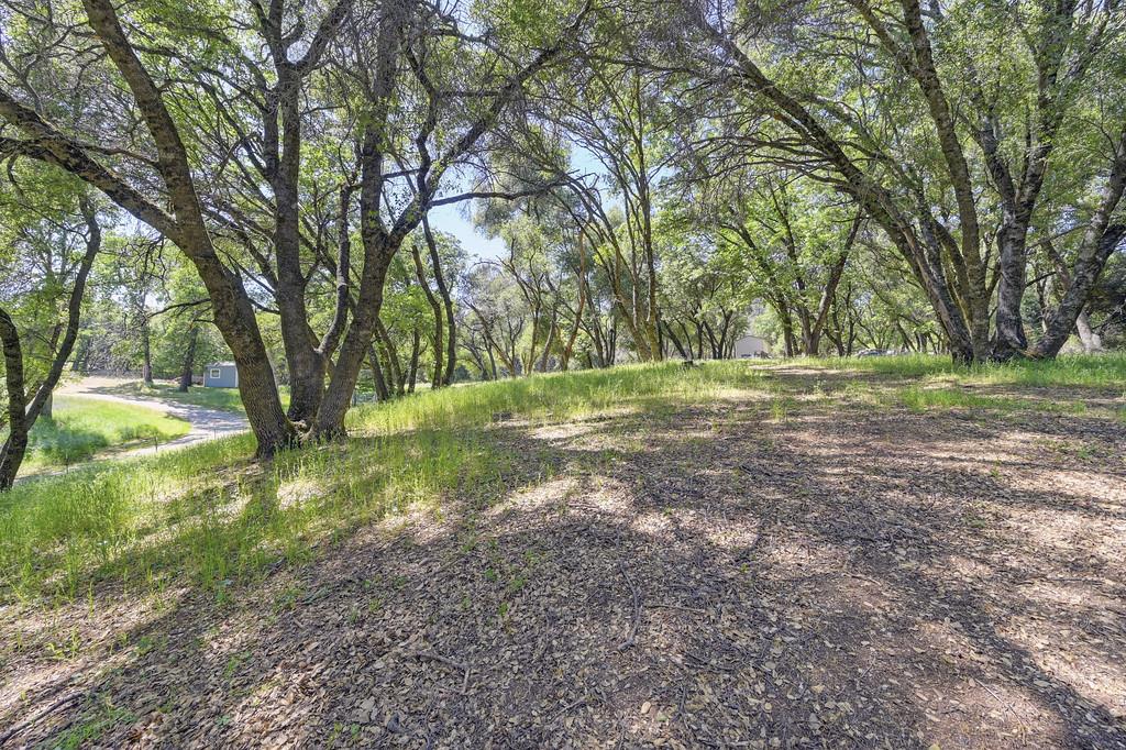 Detail Gallery Image 15 of 74 For 5400 Genney Ln, El Dorado,  CA 95623 - 3 Beds | 2 Baths
