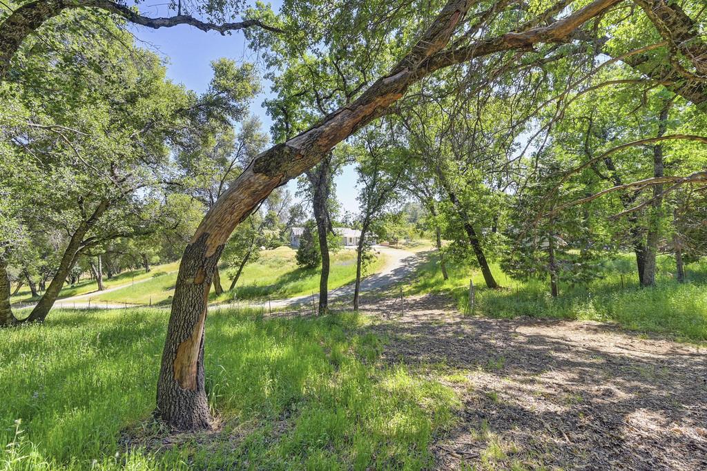 Detail Gallery Image 12 of 74 For 5400 Genney Ln, El Dorado,  CA 95623 - 3 Beds | 2 Baths